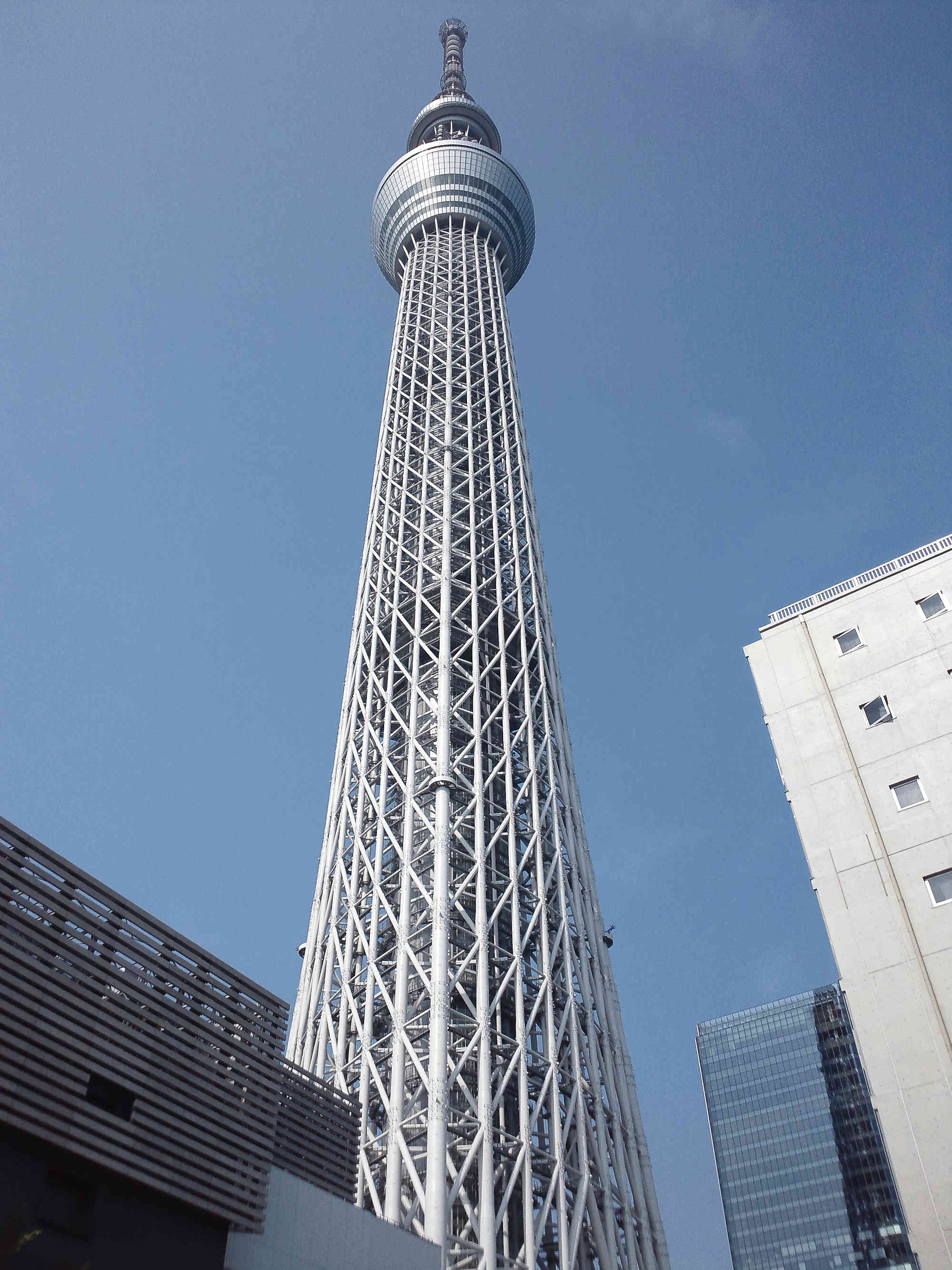 スカイツリー 下から見上げた写真