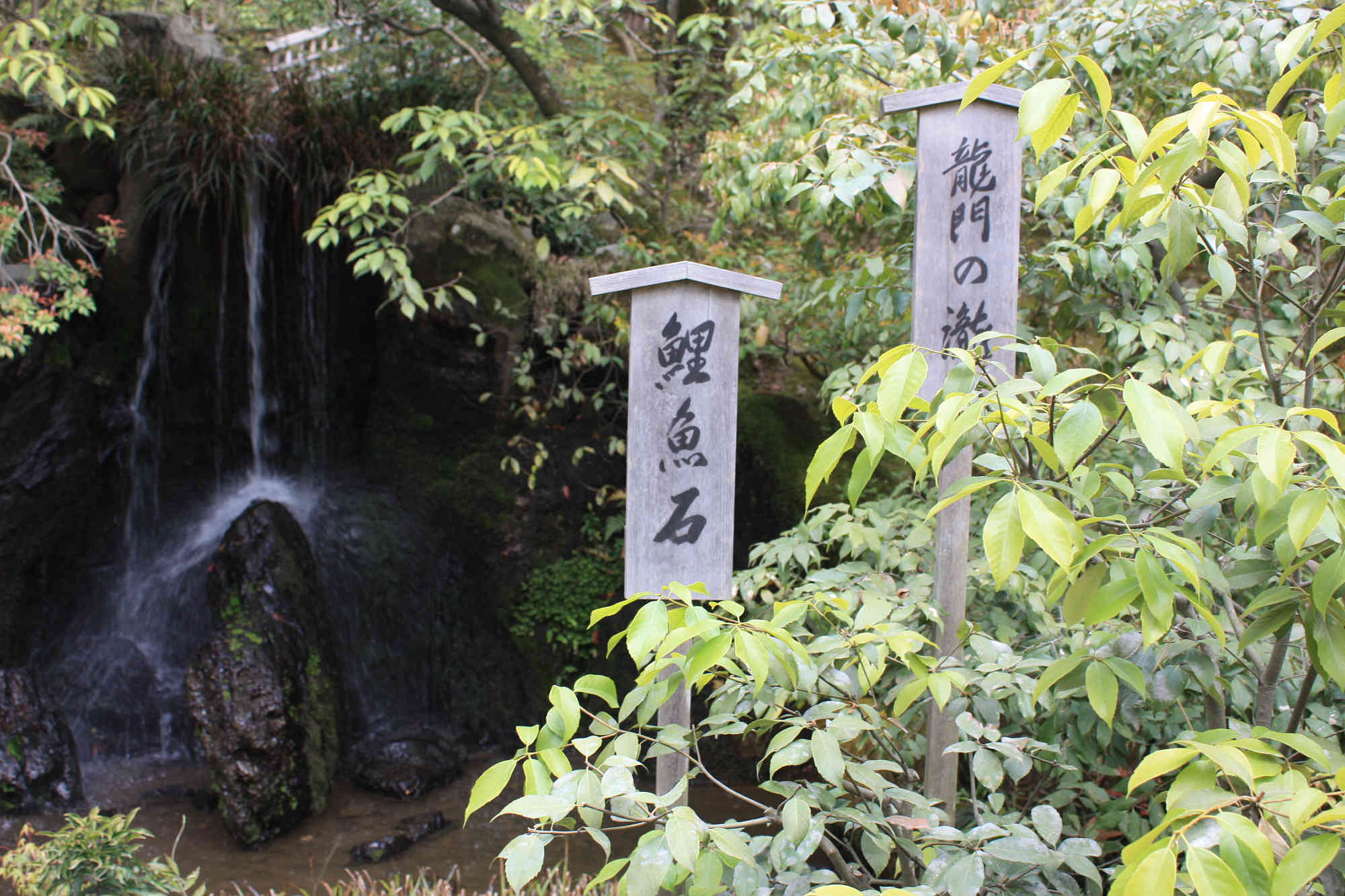 龍門滝と鯉魚石