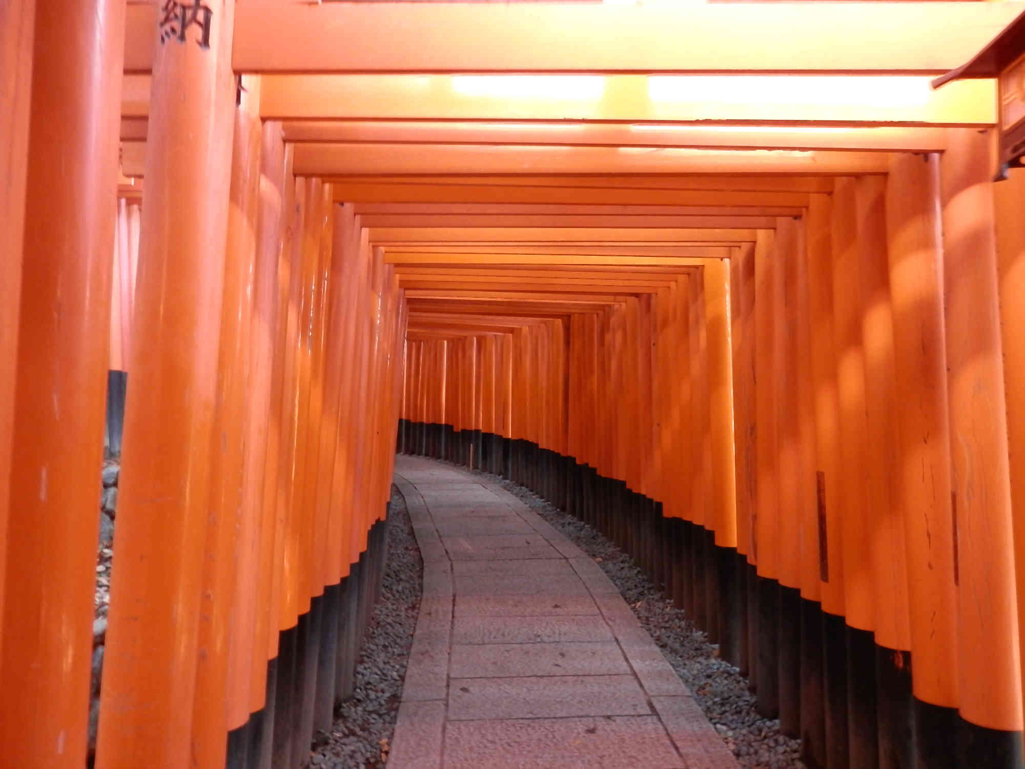 京都伏見稲荷大社 千本鳥居