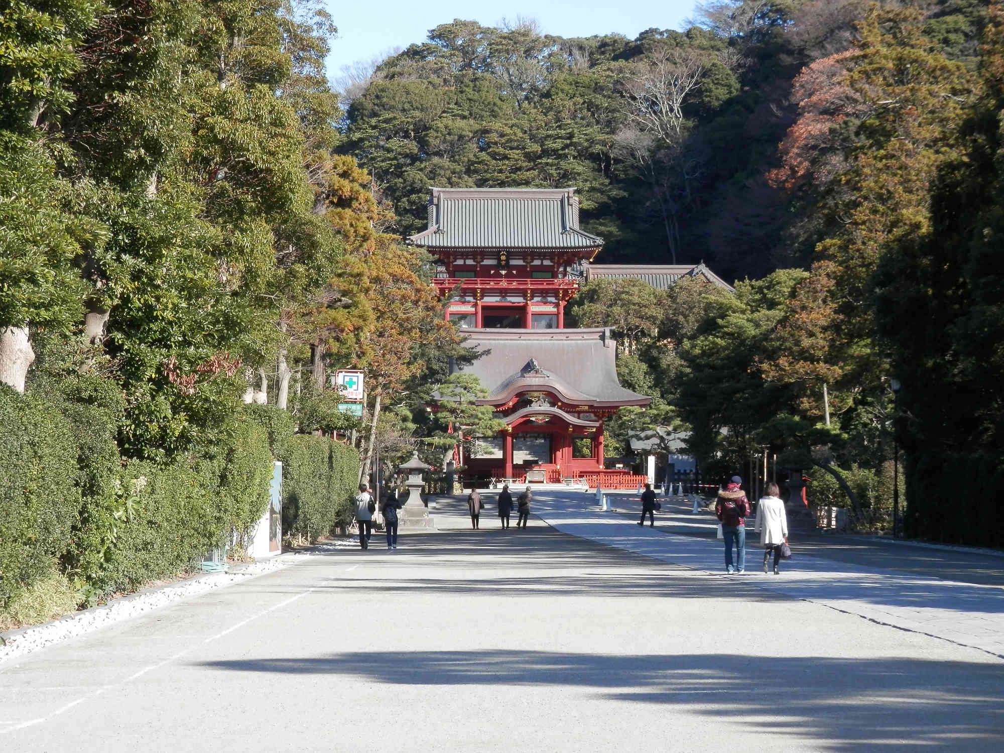 鎌倉「鶴岡八幡宮」参道