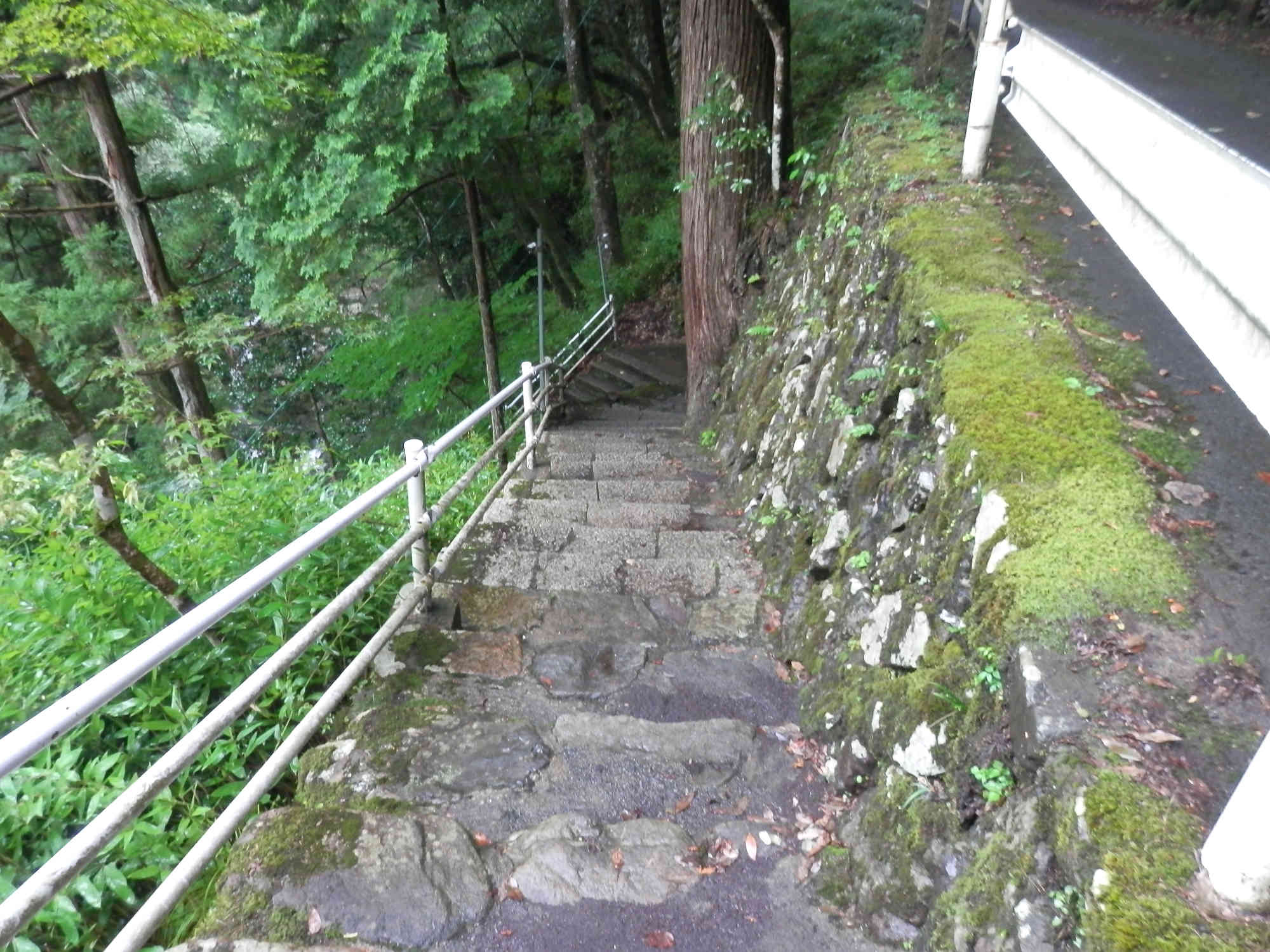 天岩戸神社へ降りる階段