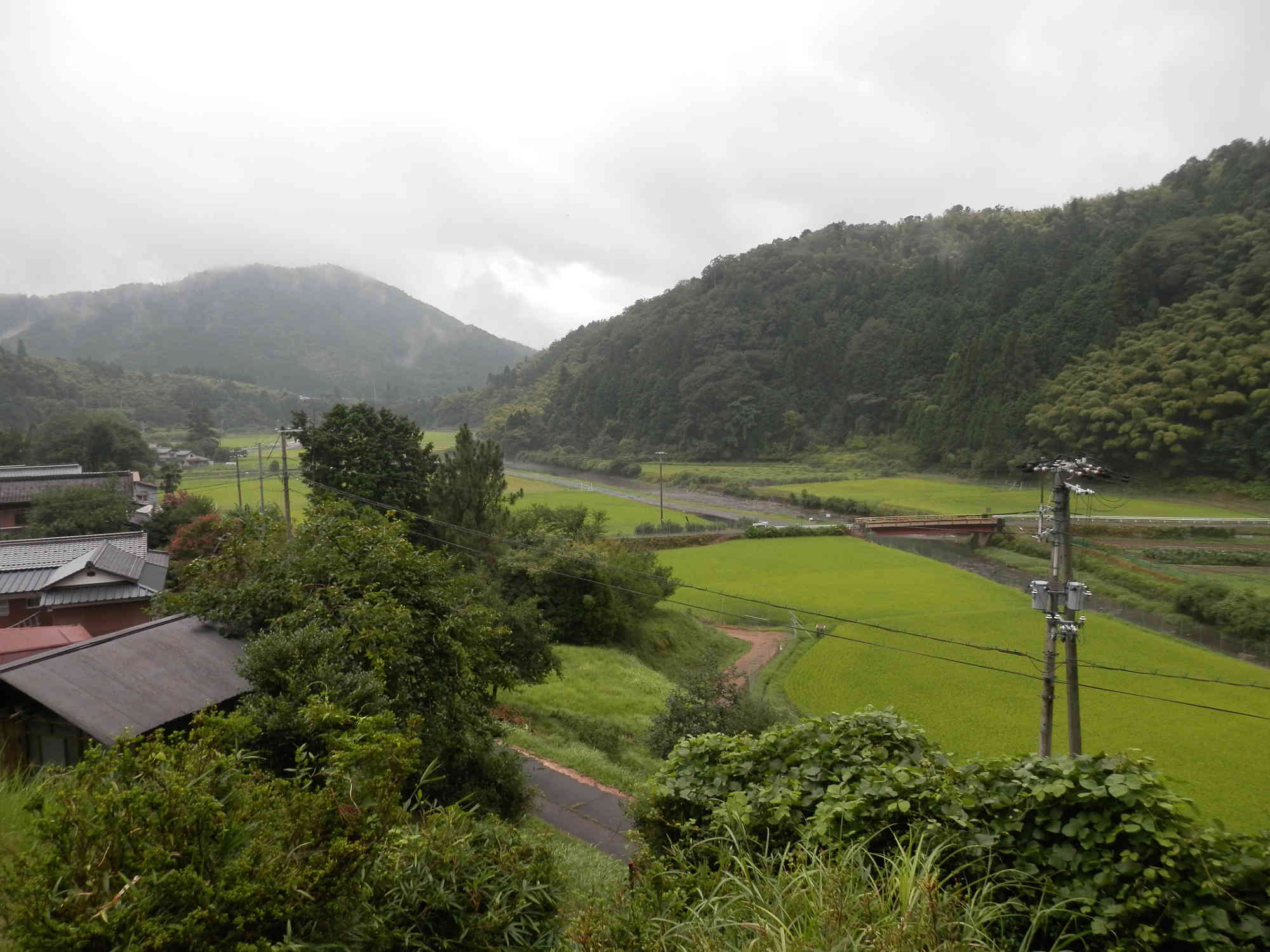 皇大神社からみた風景