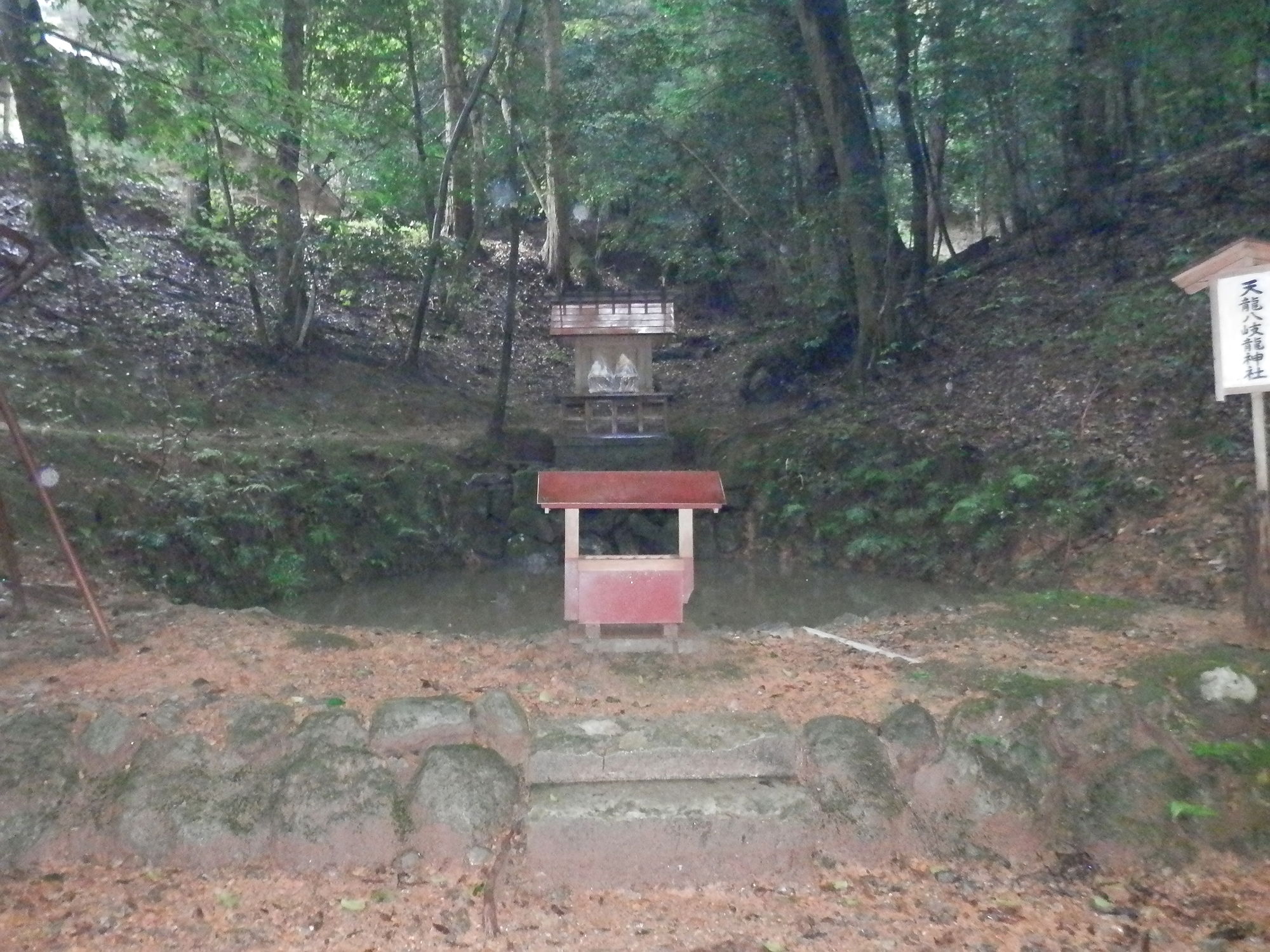 天龍八岐大龍神社