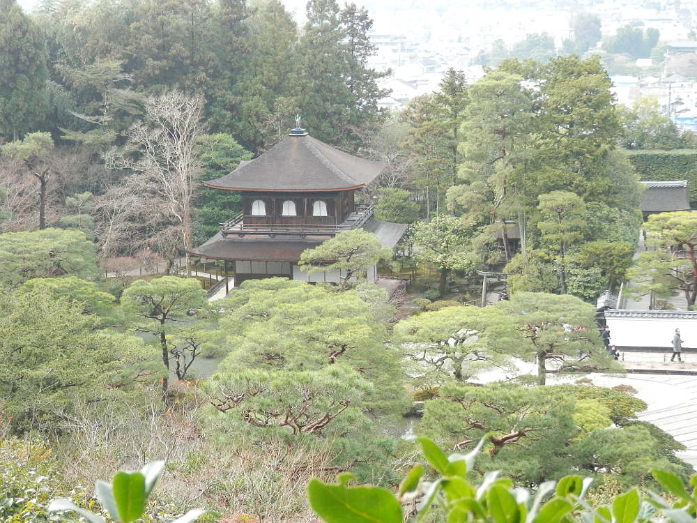 山道からの風景