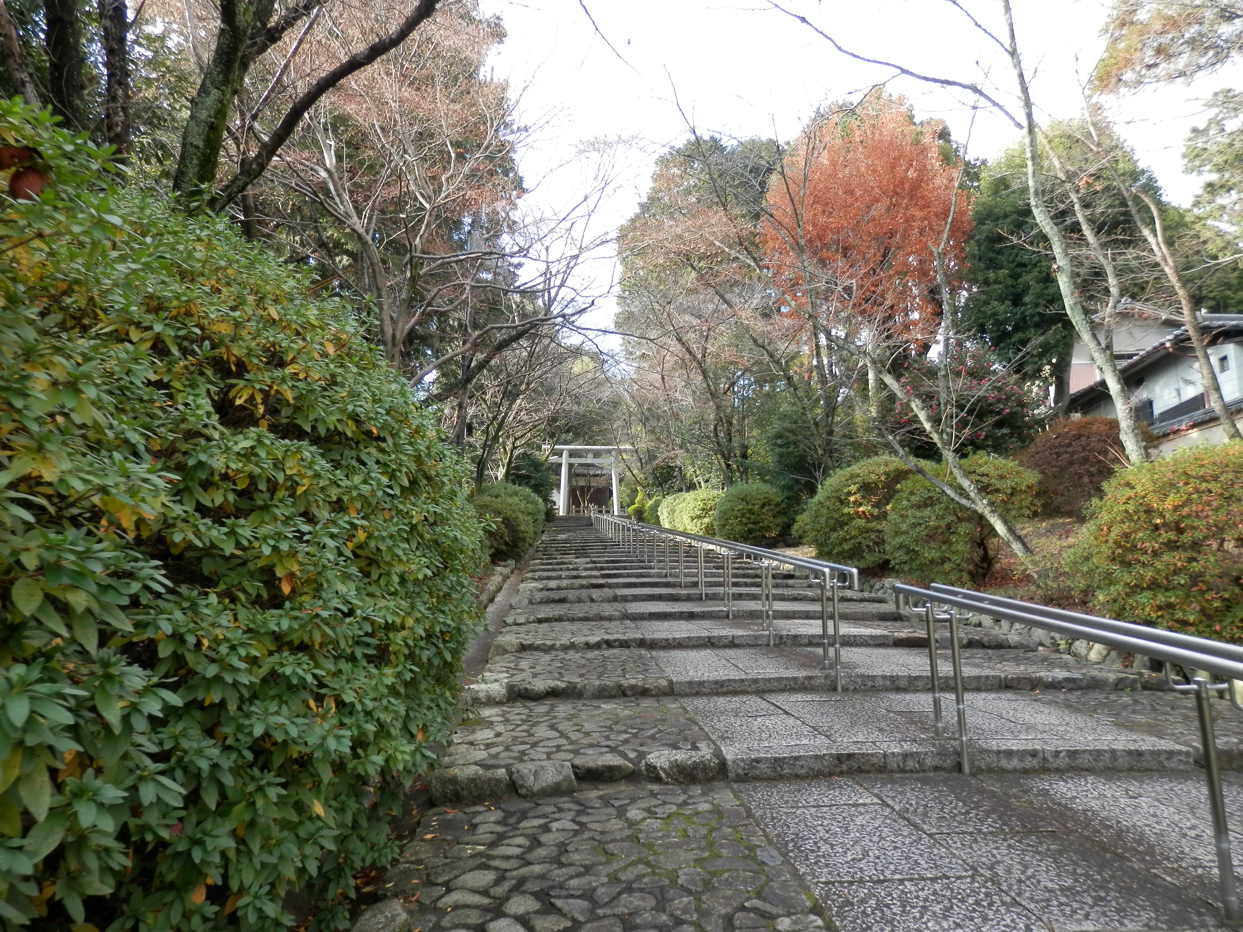 宗忠神社の正参道