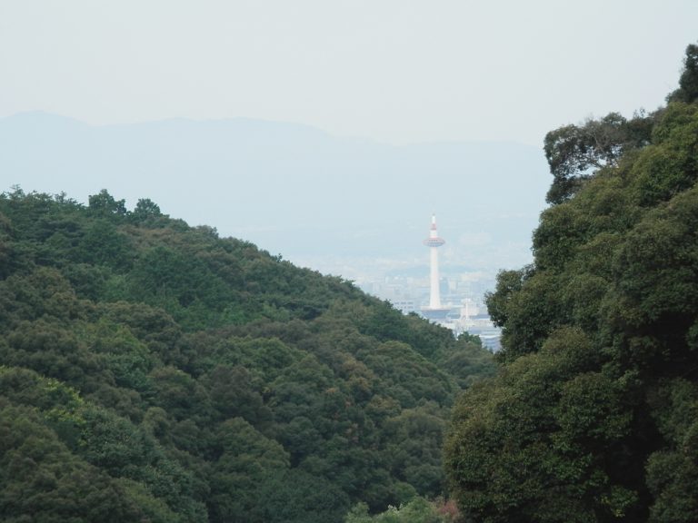 清水寺から見た京都タワー