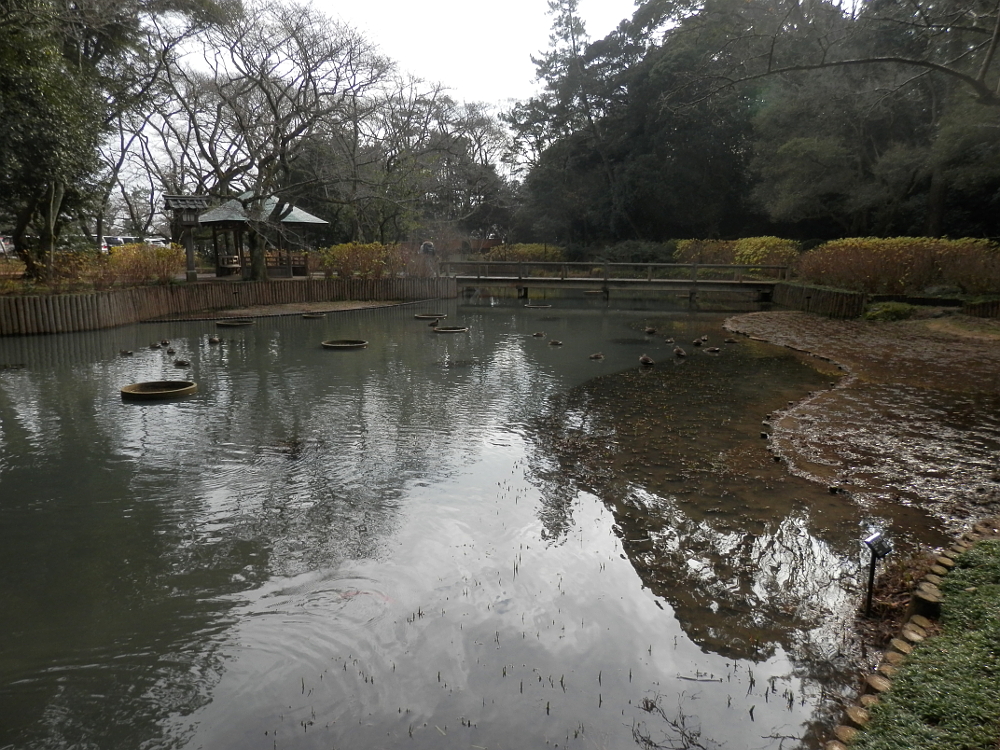 出雲大社 池