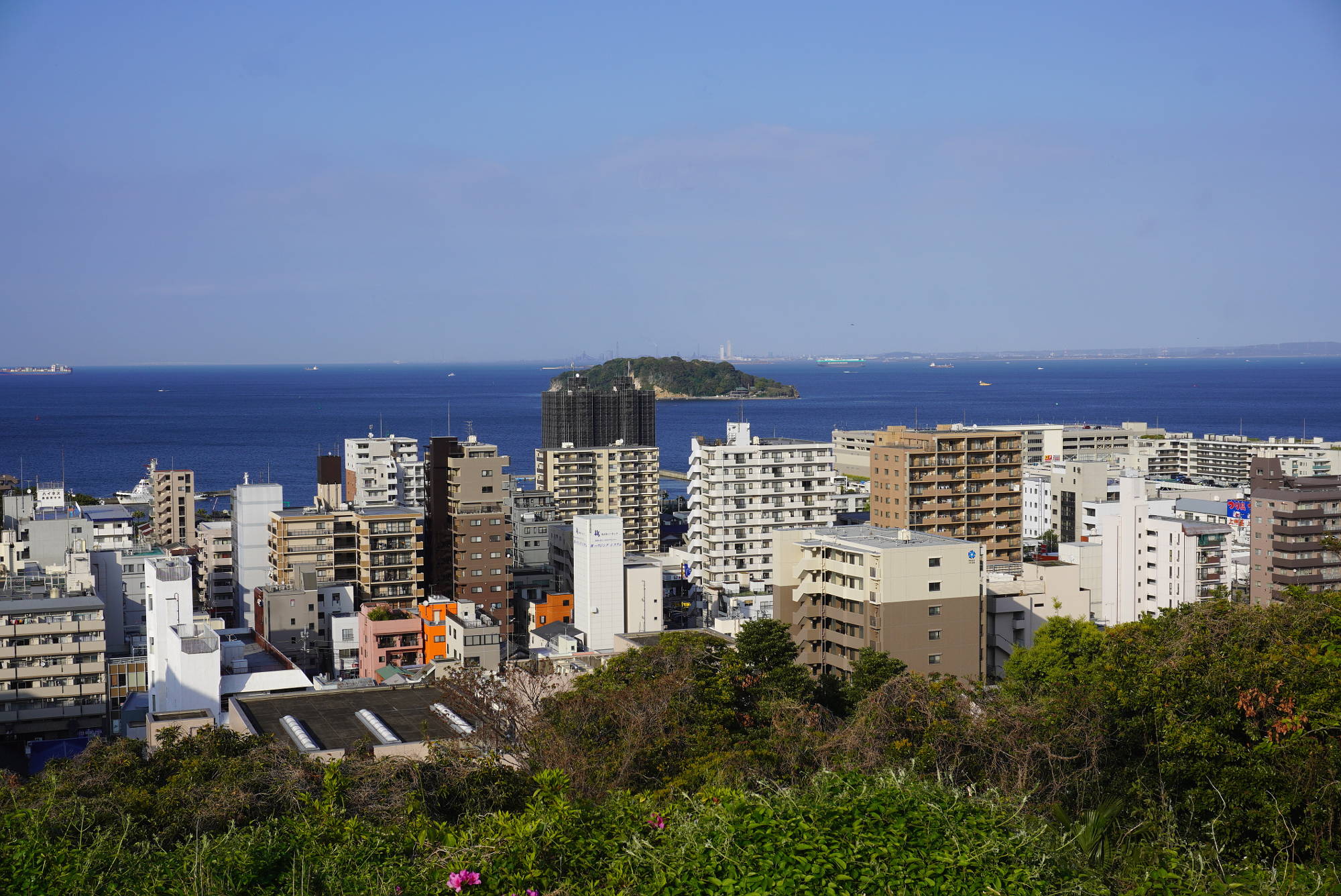 横須賀中央公園 猿島を一望