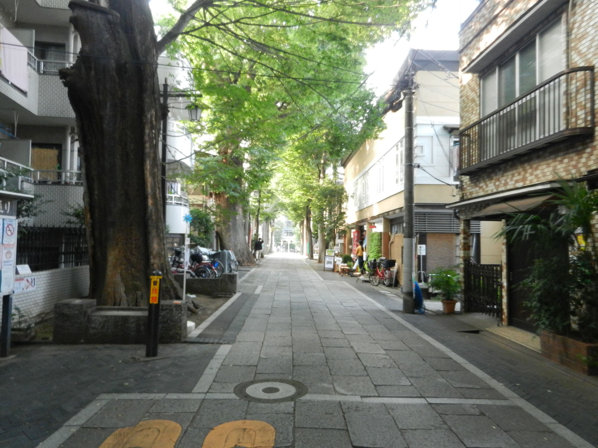 鬼子母神の参道