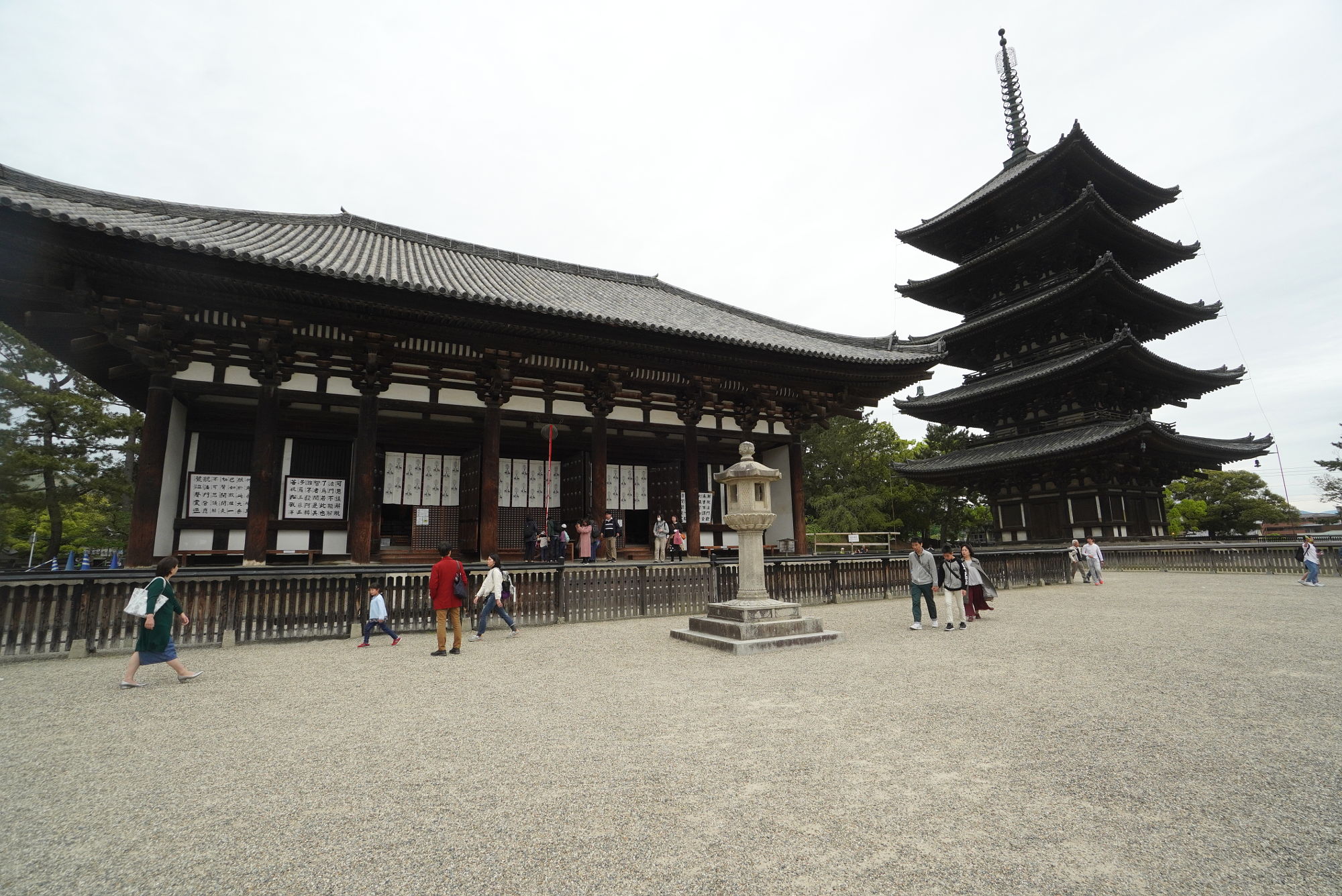 興福寺 東金堂からの五重塔