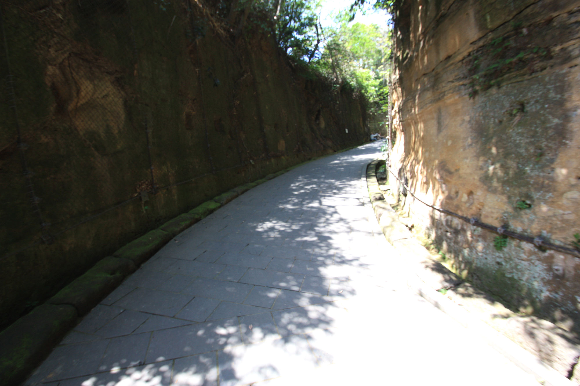 猿島の遊歩道