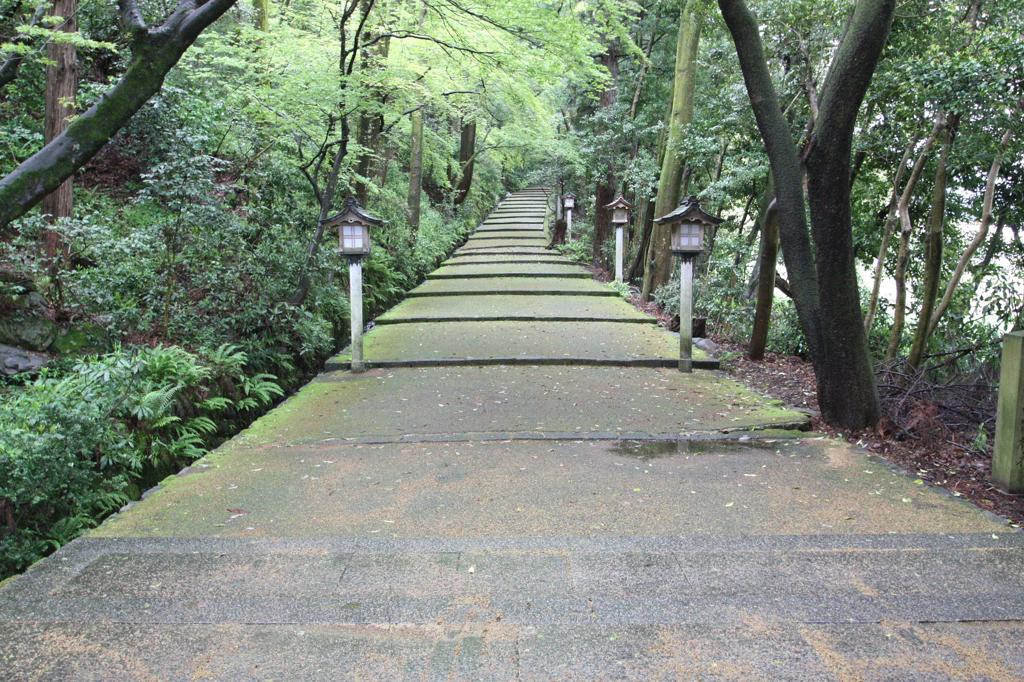 白山比咩神社の参道