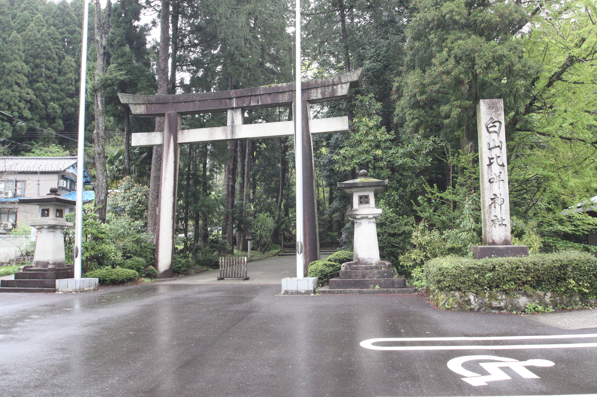 白山比咩神社の鳥居