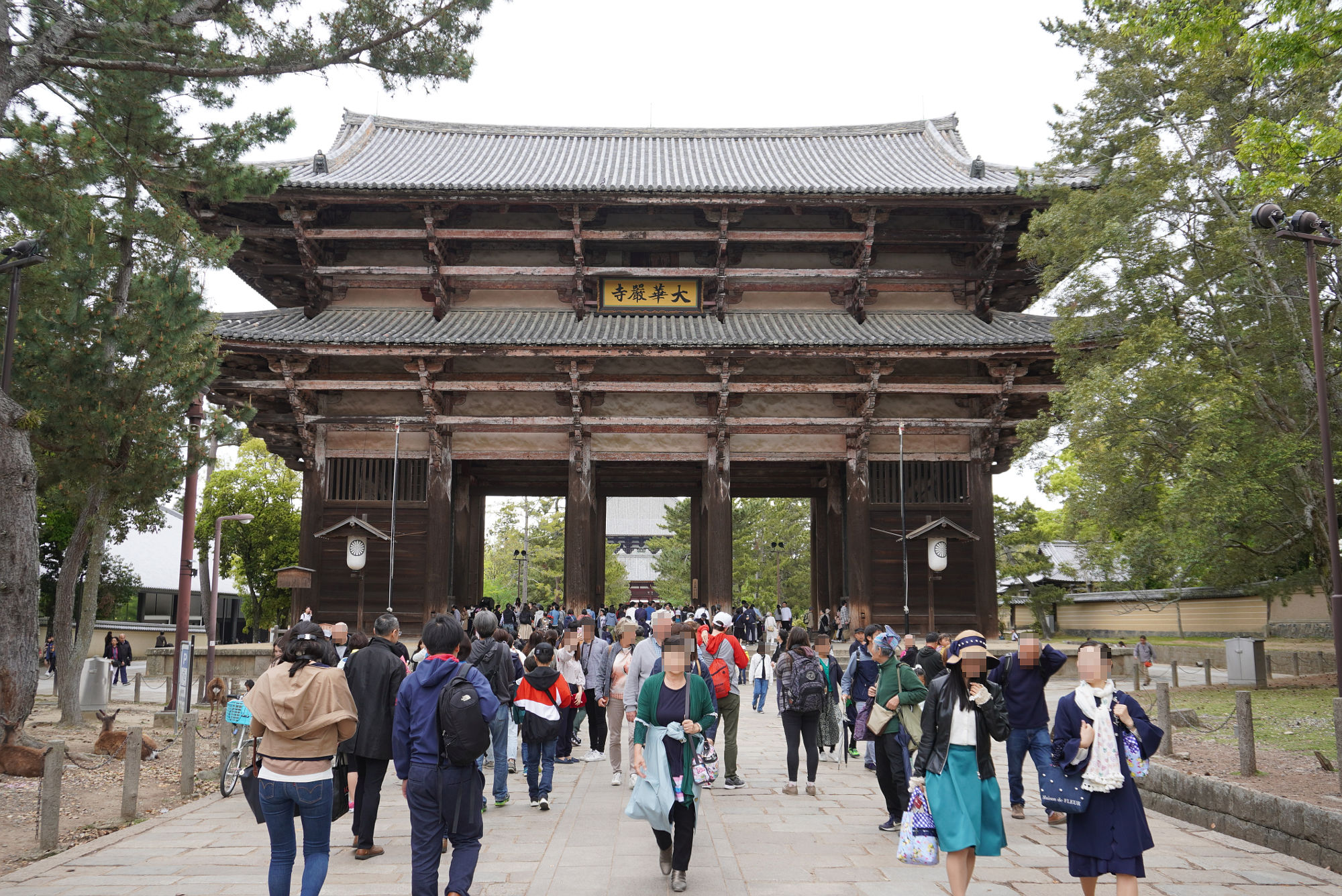 東大寺 南大門（高さ25メートル）