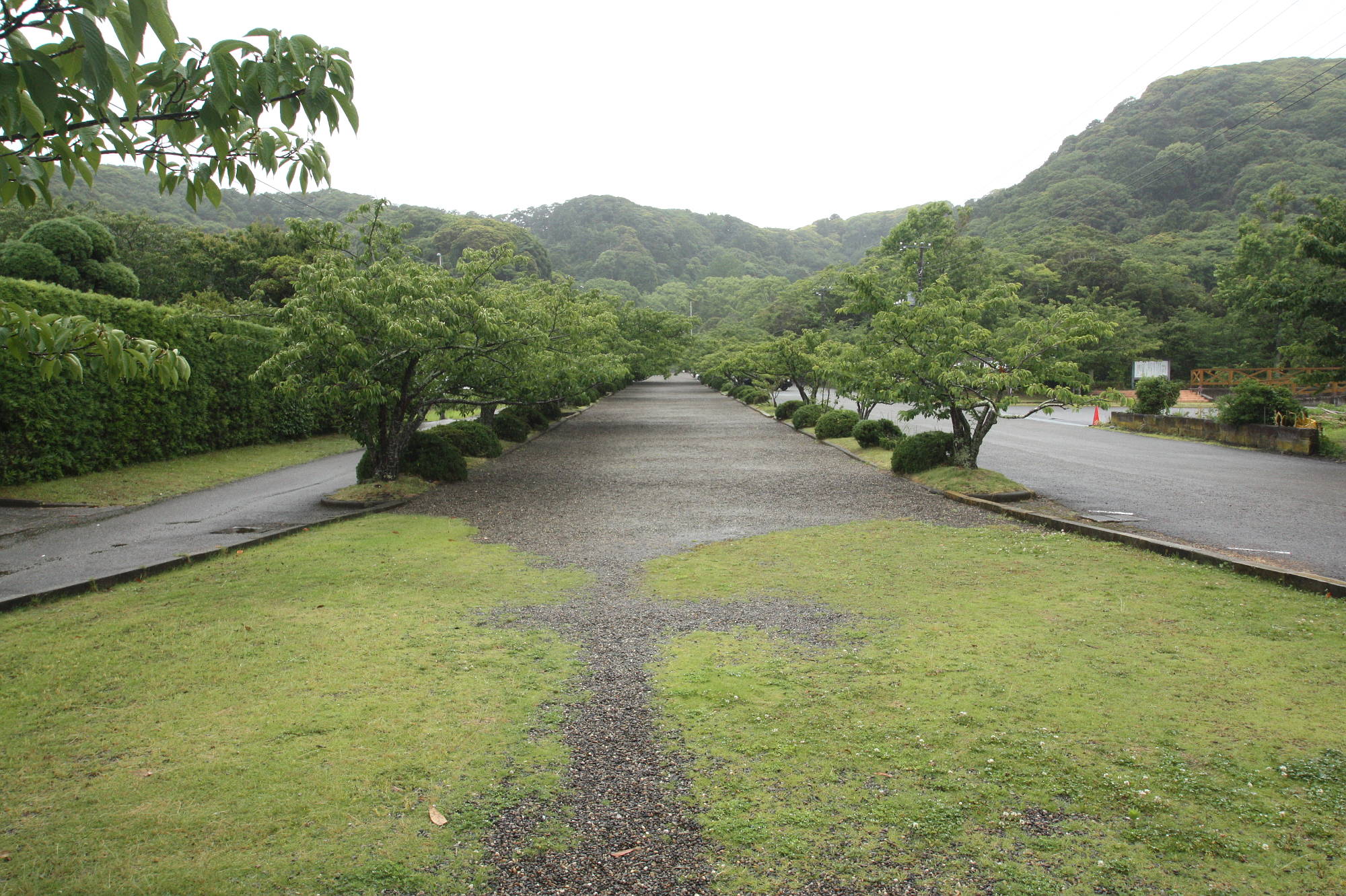 安房神社の参道