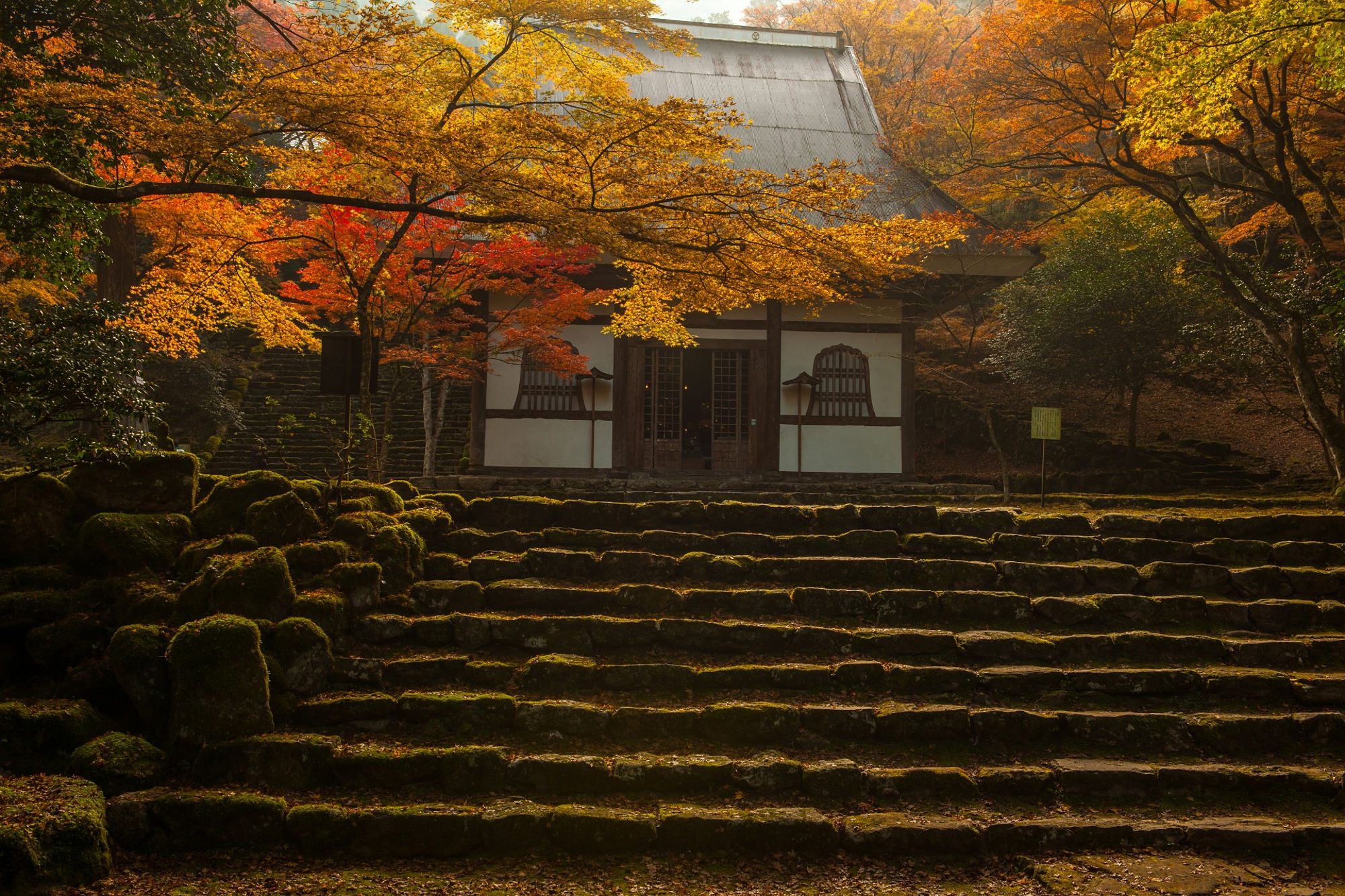 高源寺の紅葉