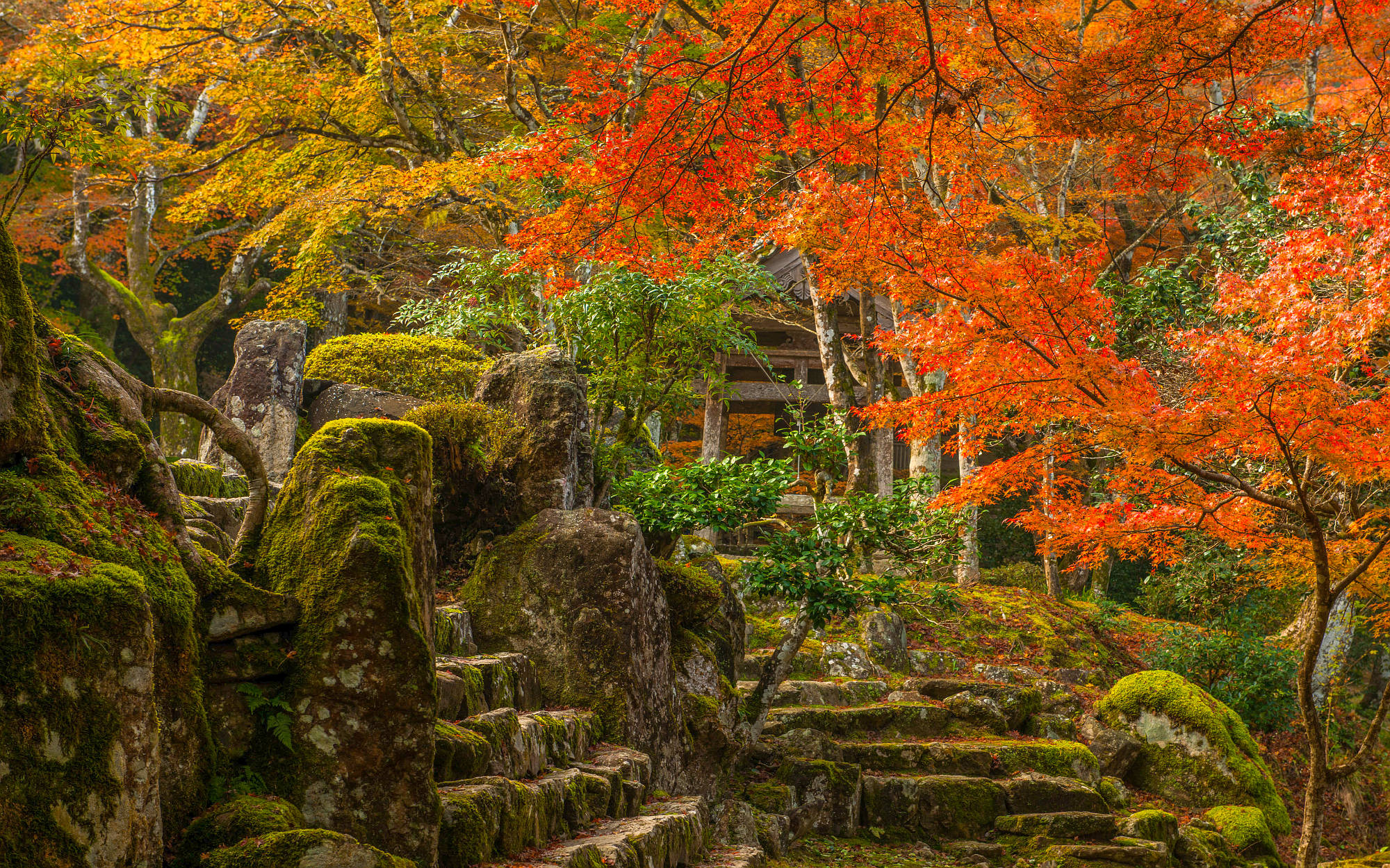 高源寺の紅葉