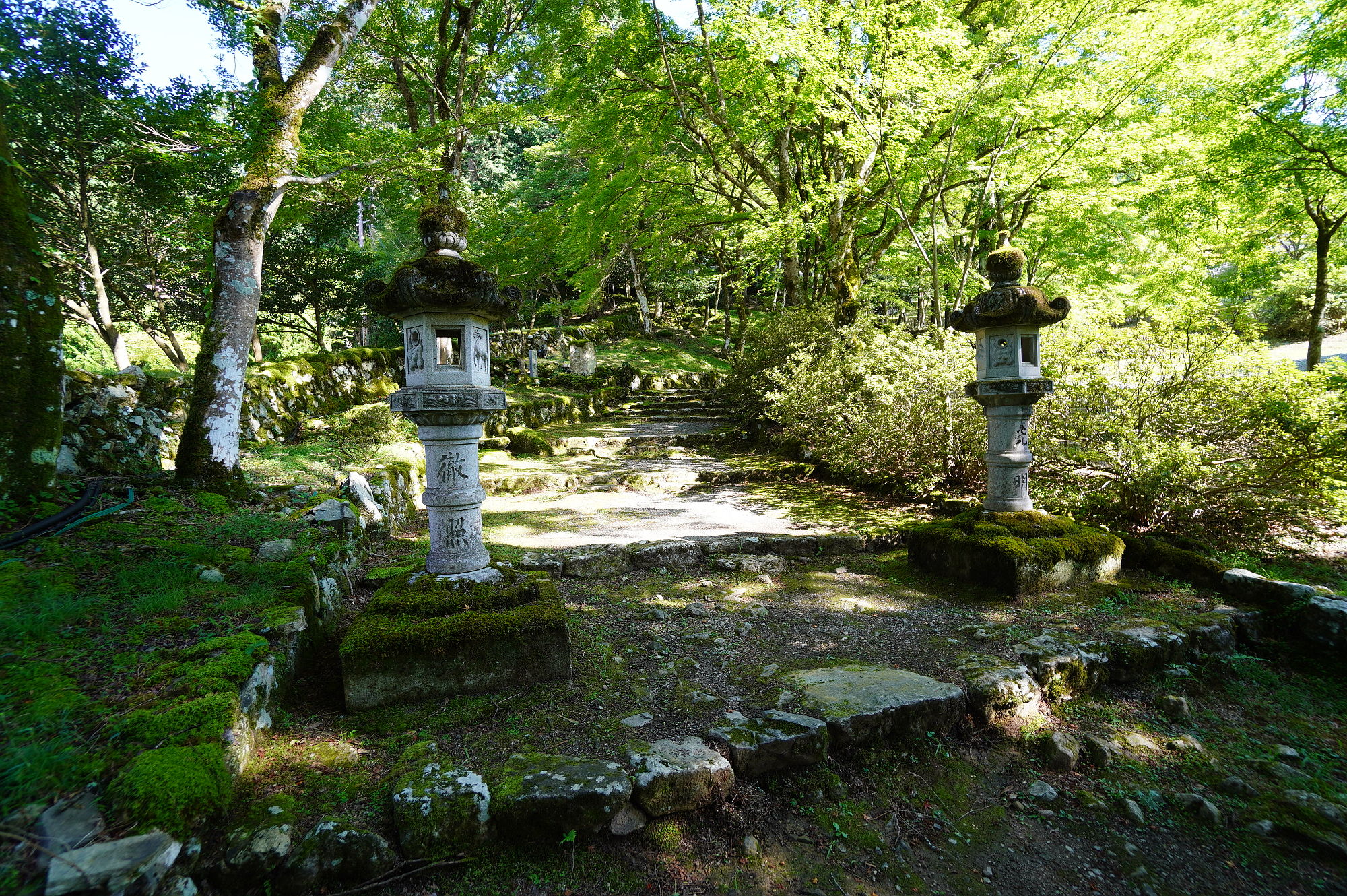 高源寺の参道（紅葉のトンネル）