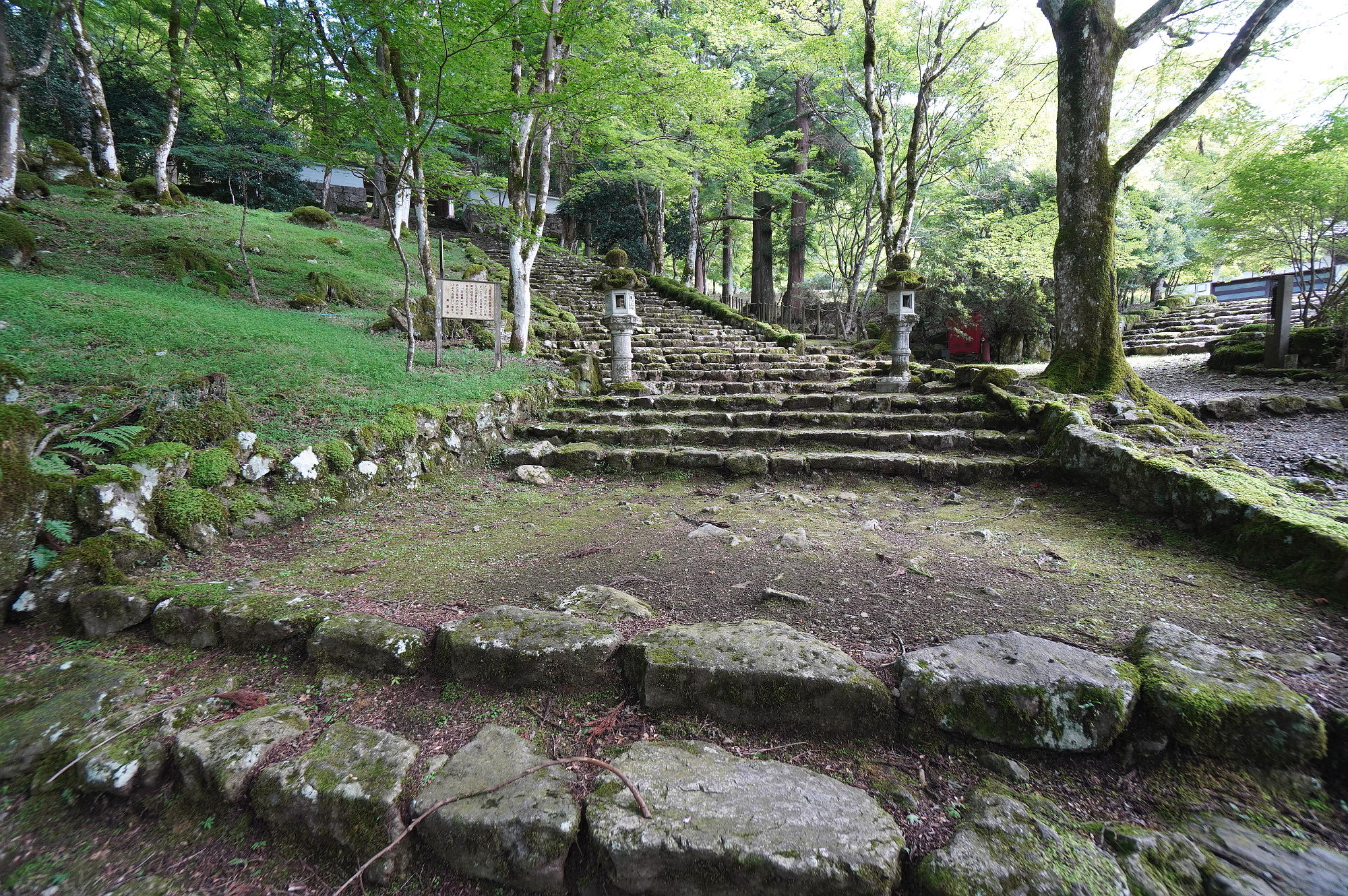 高源寺の参道（紅葉のトンネル）