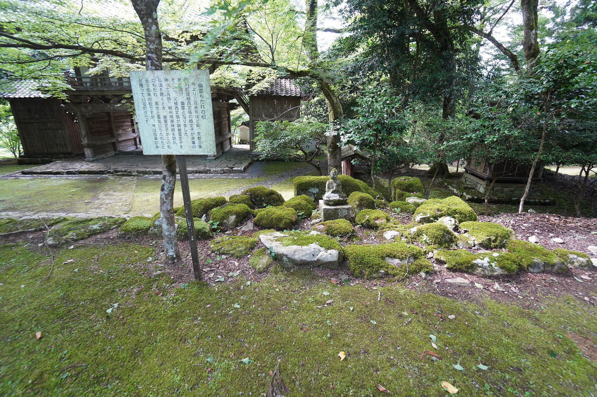 幽霊もたれの松