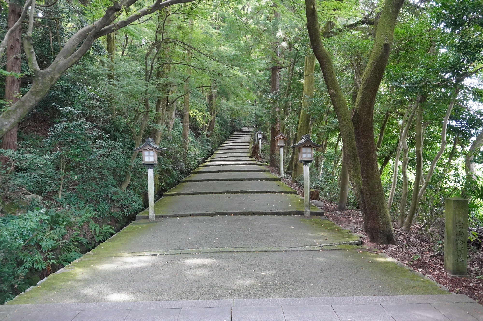 白山比咩神社の参道