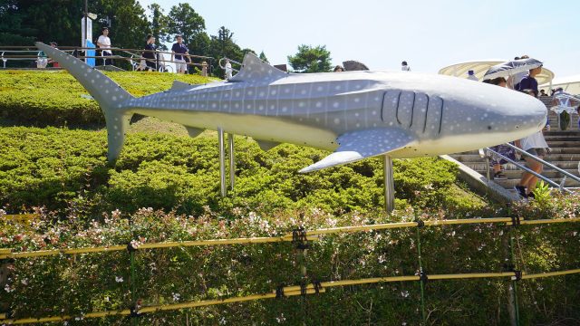 のとじま水族館