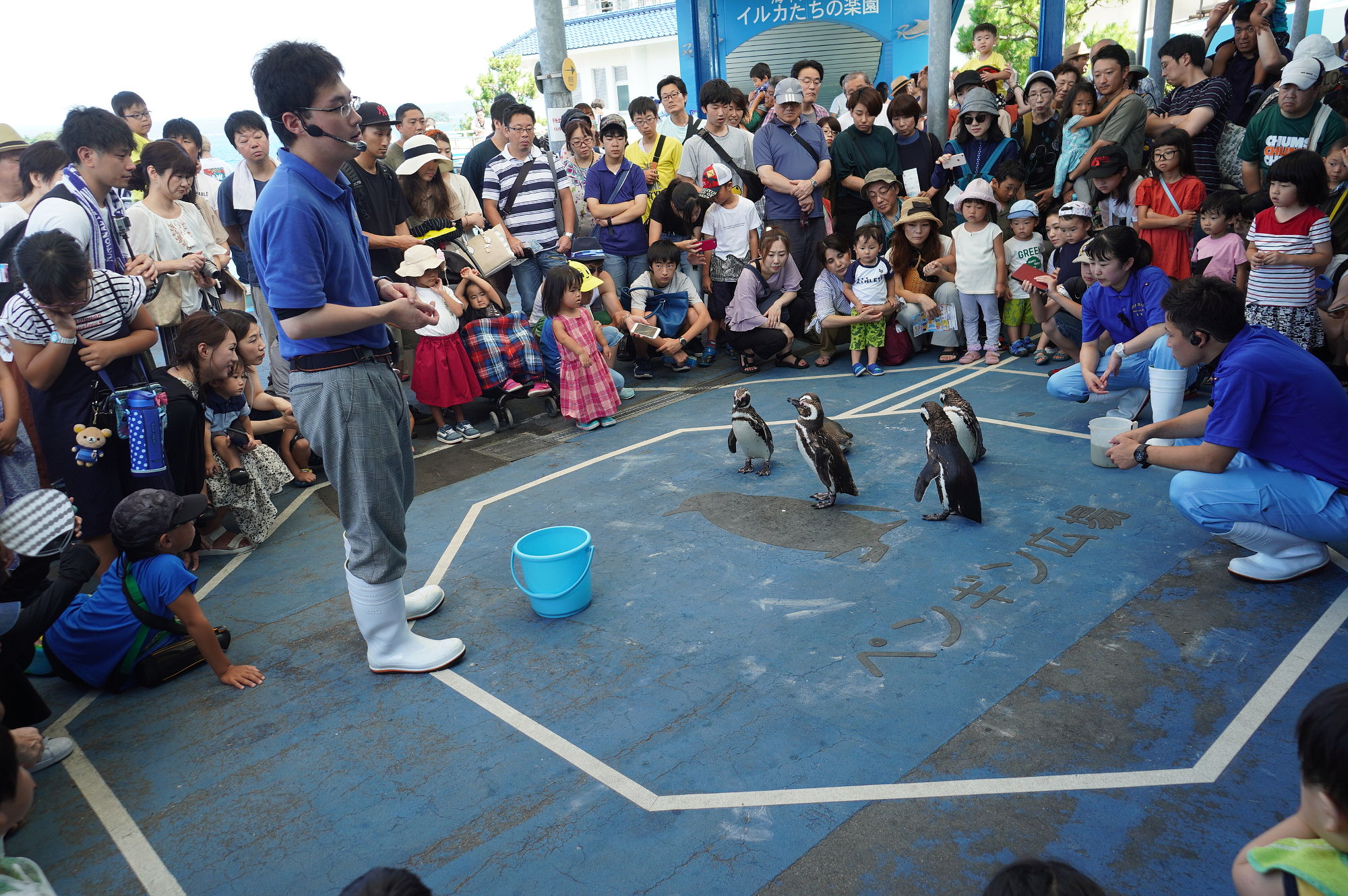 のとじま水族館「ペンギン」