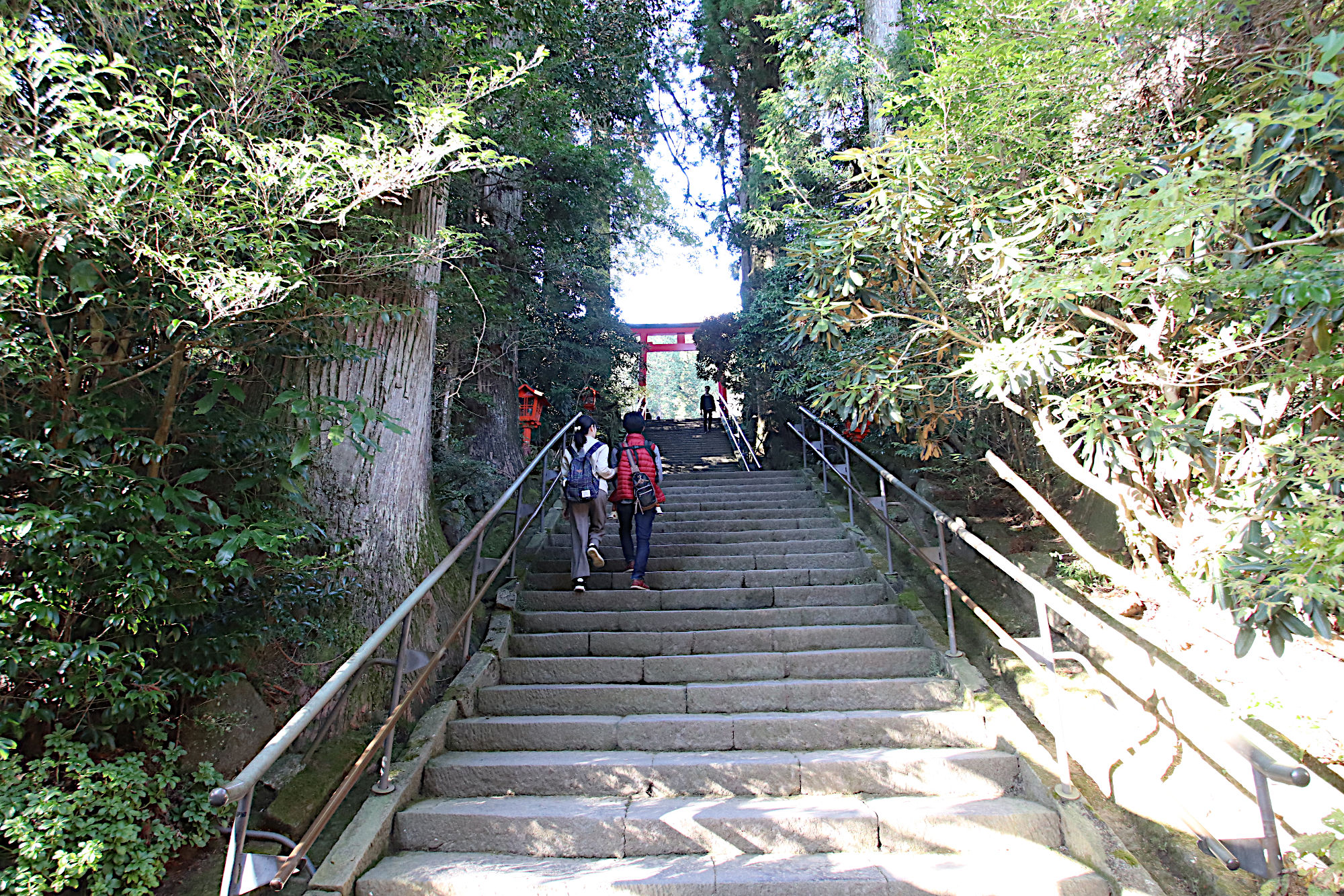 箱根神社の第五鳥居