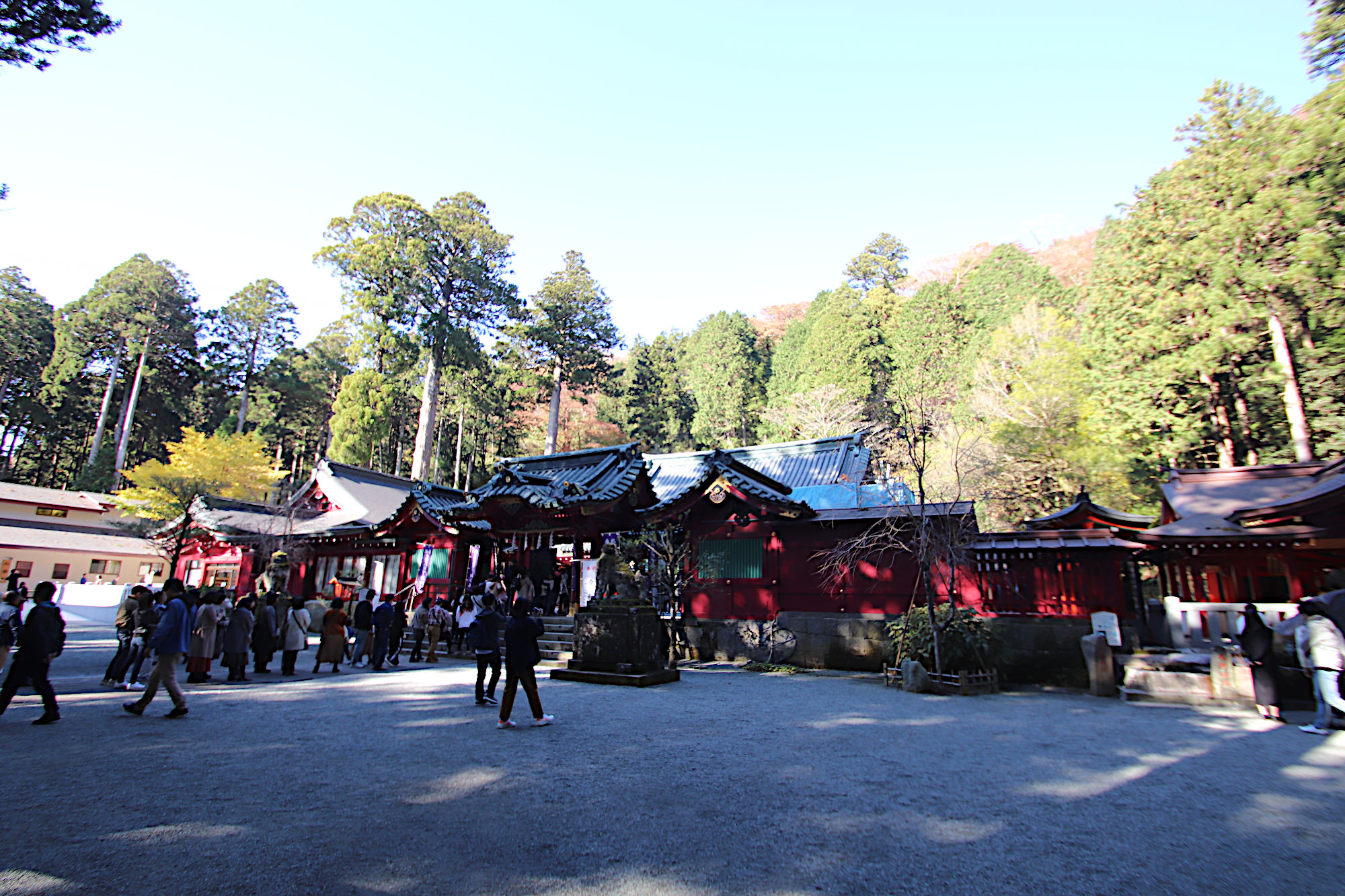 箱根神社の境内