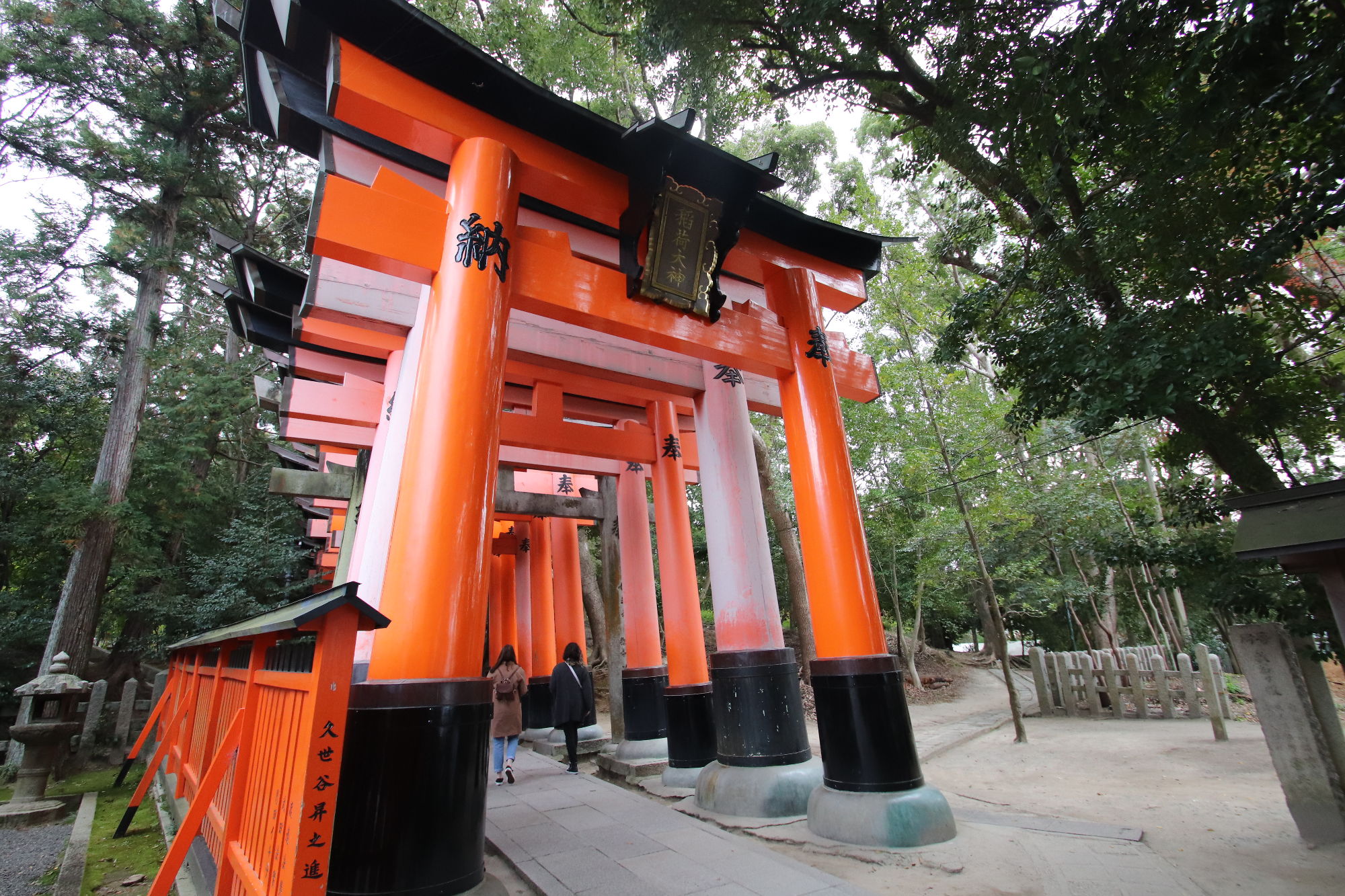 伏見稲荷神社の千本鳥居