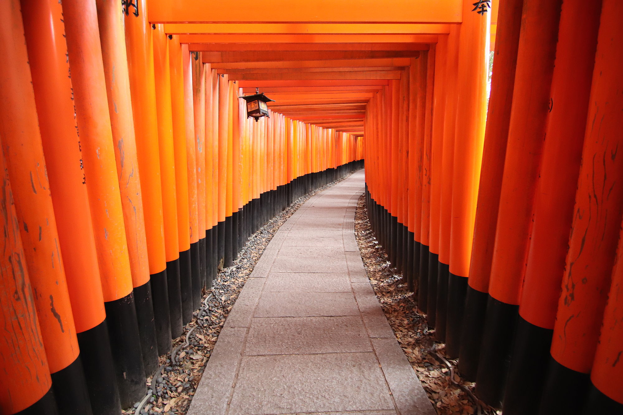 伏見稲荷神社の千本鳥居