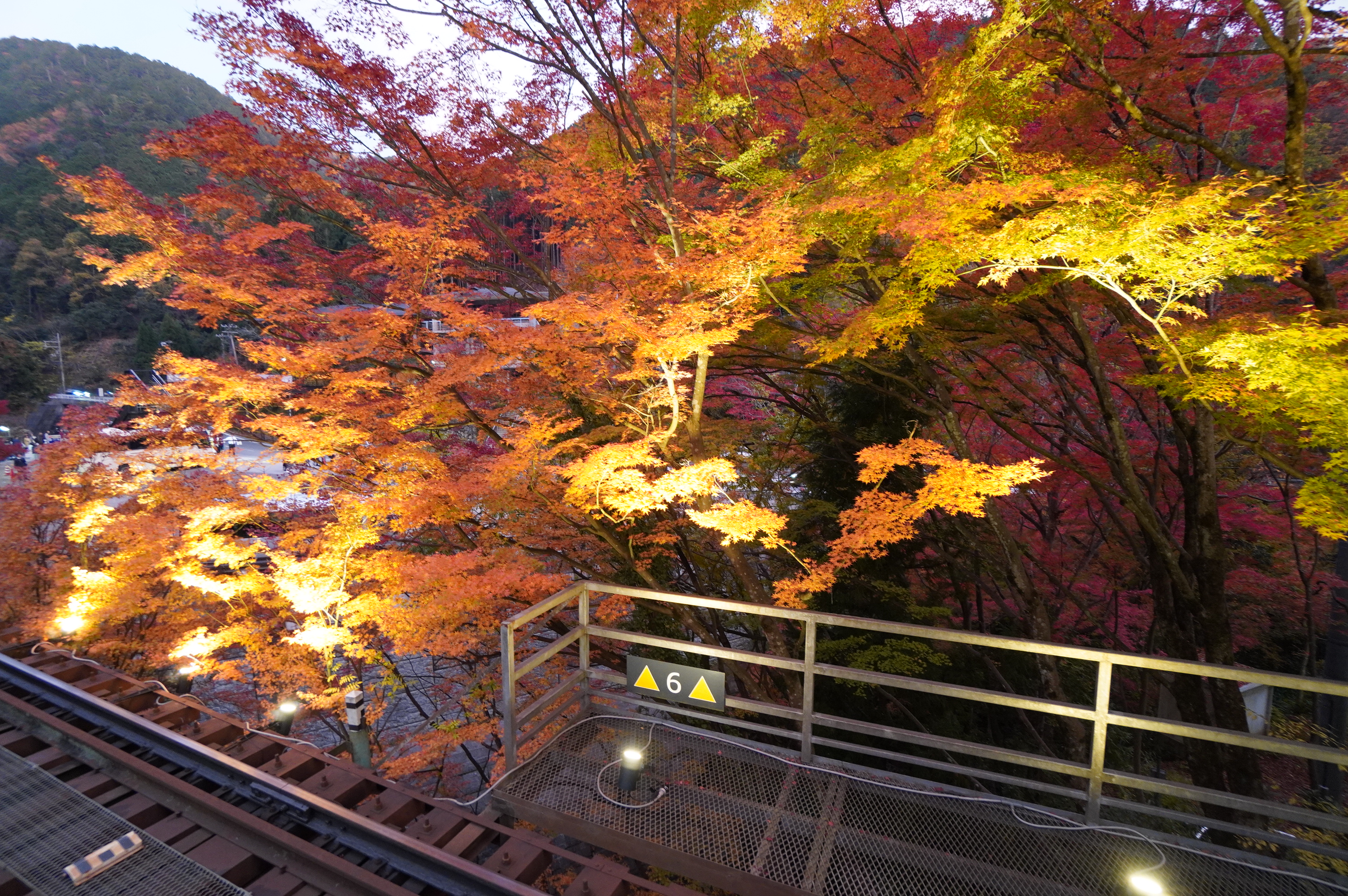 貴船口駅の紅葉