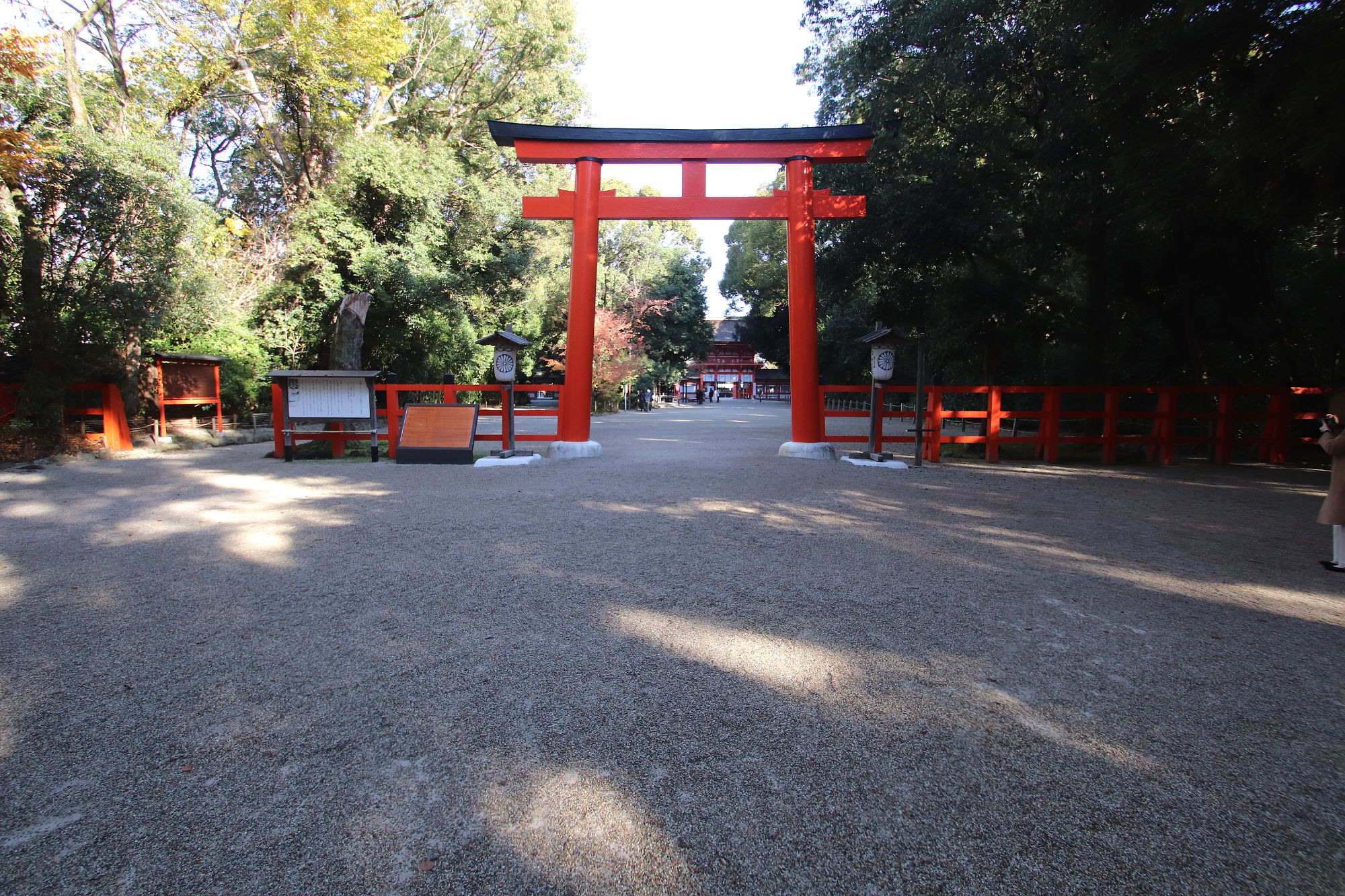 下鴨神社