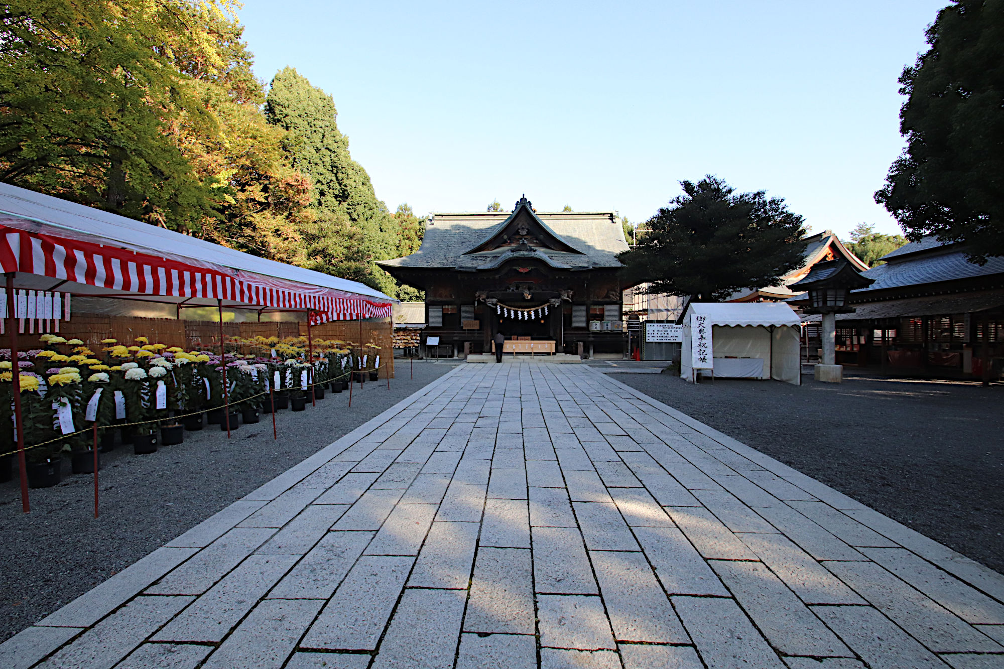 秩父神社の拝殿