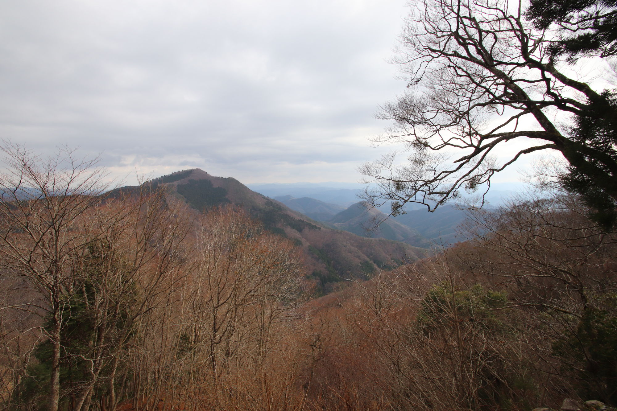 大江山から見える景色