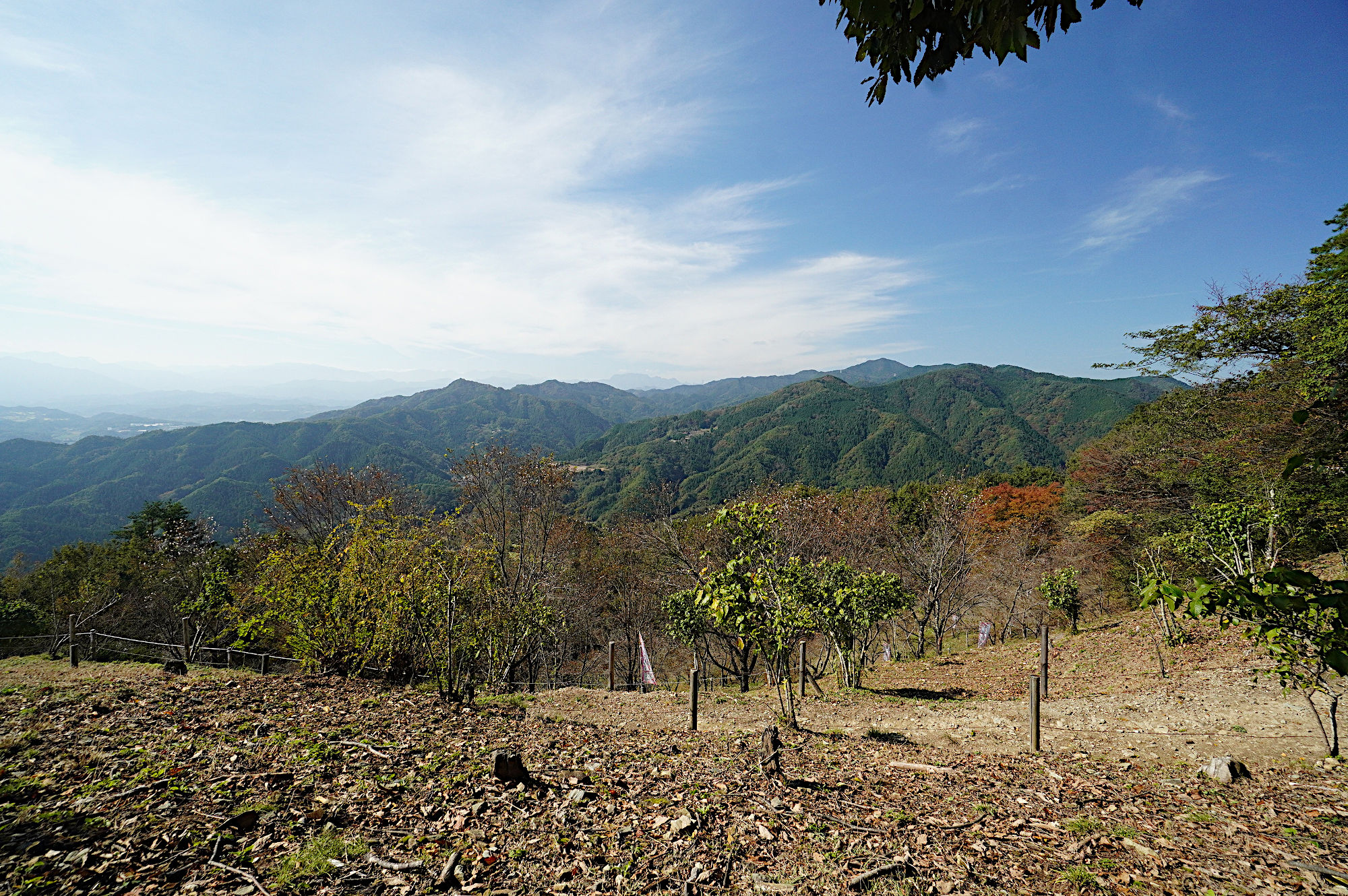 寳登山からの風景