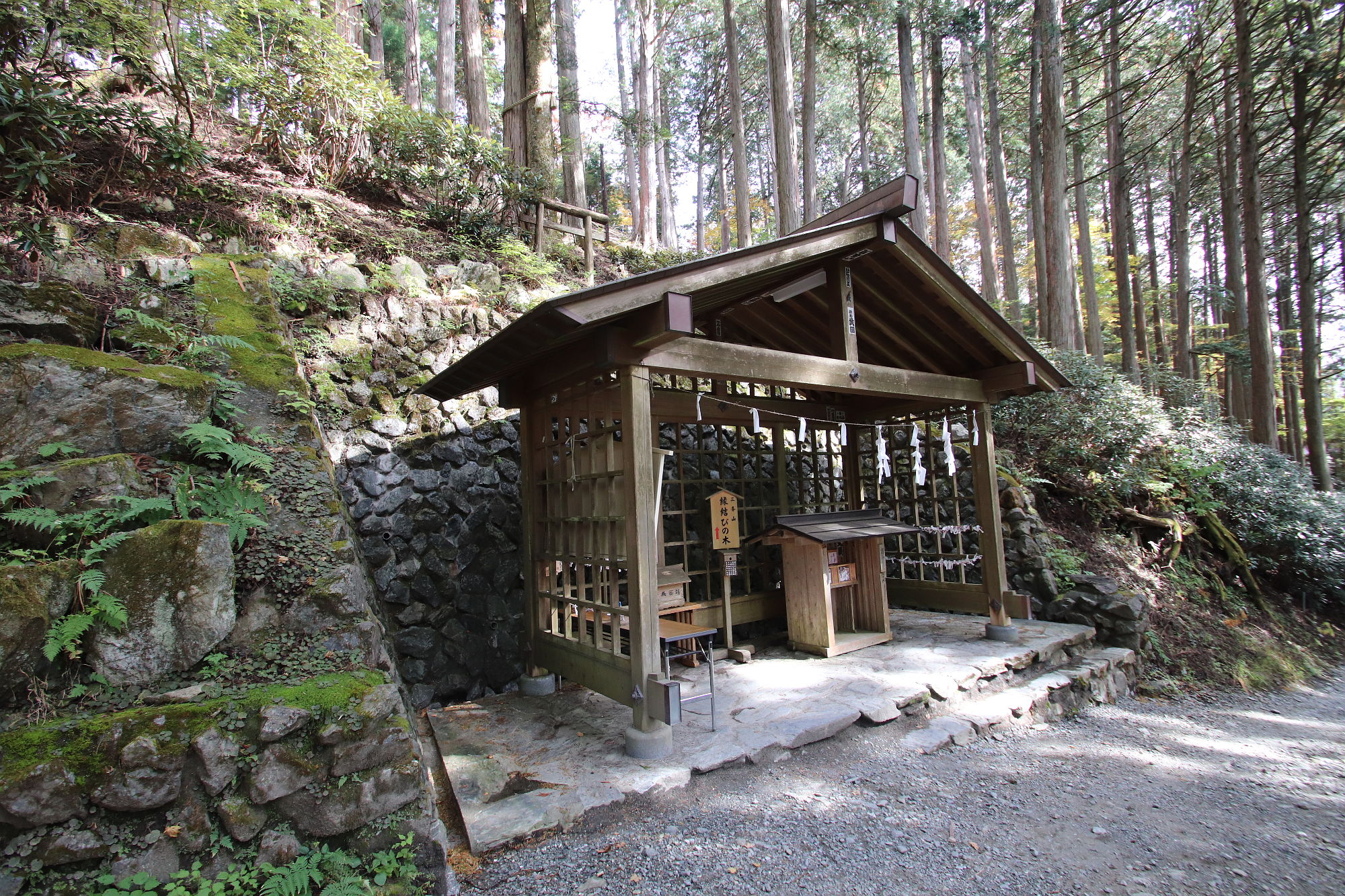 三峰神社 縁結びの木