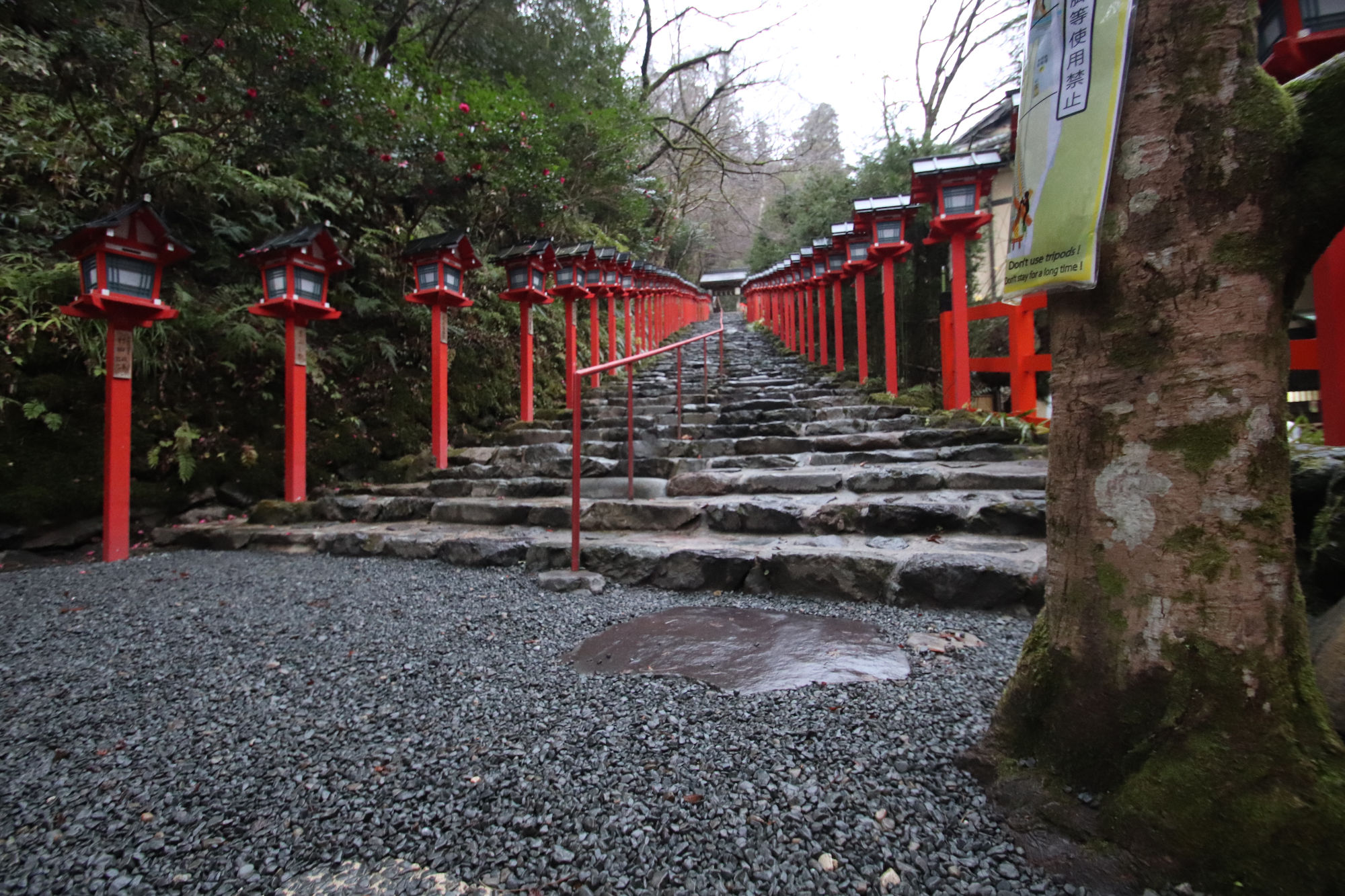 貴船神社「階段」