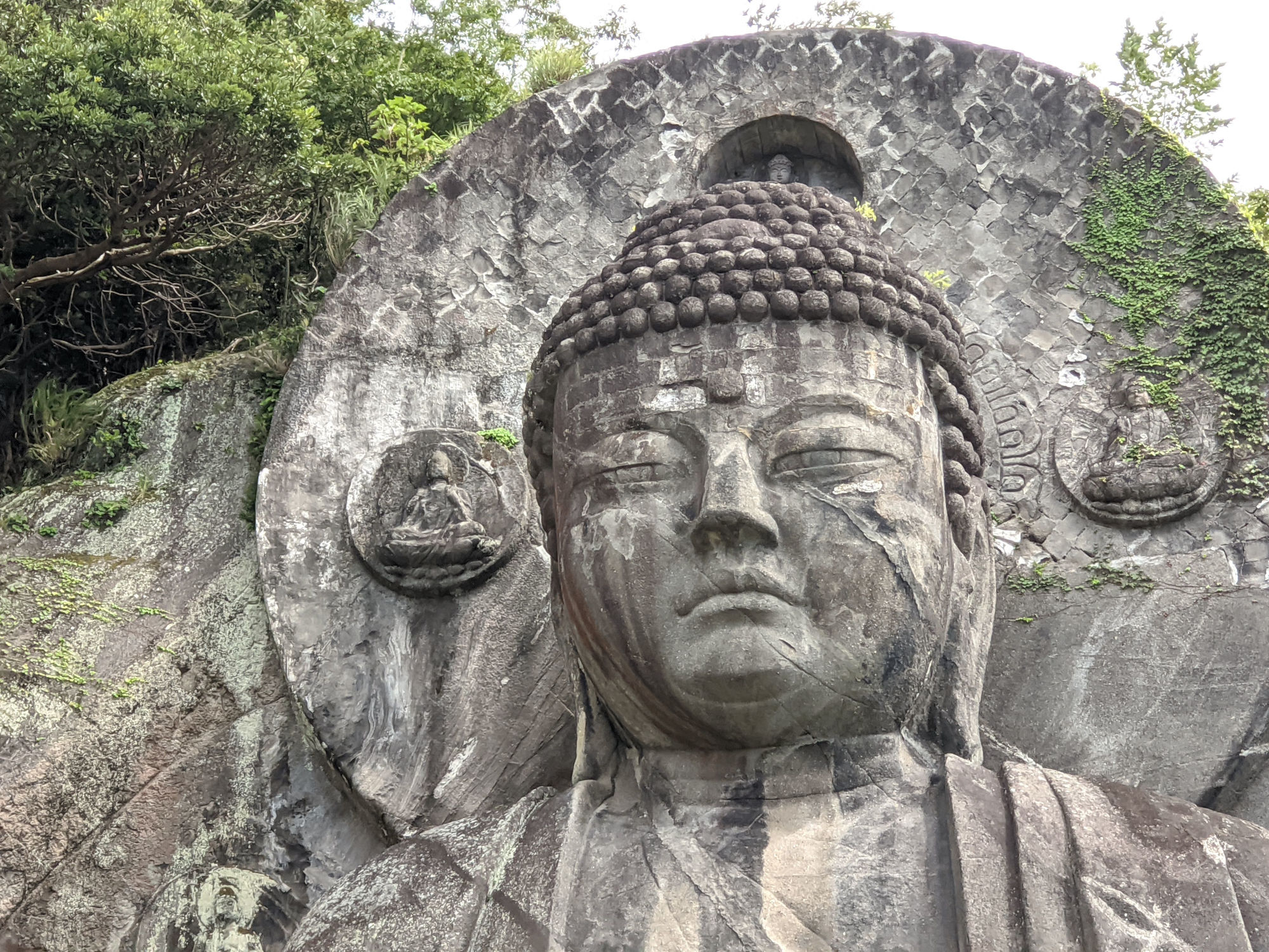 日本寺の巨大大仏の顔