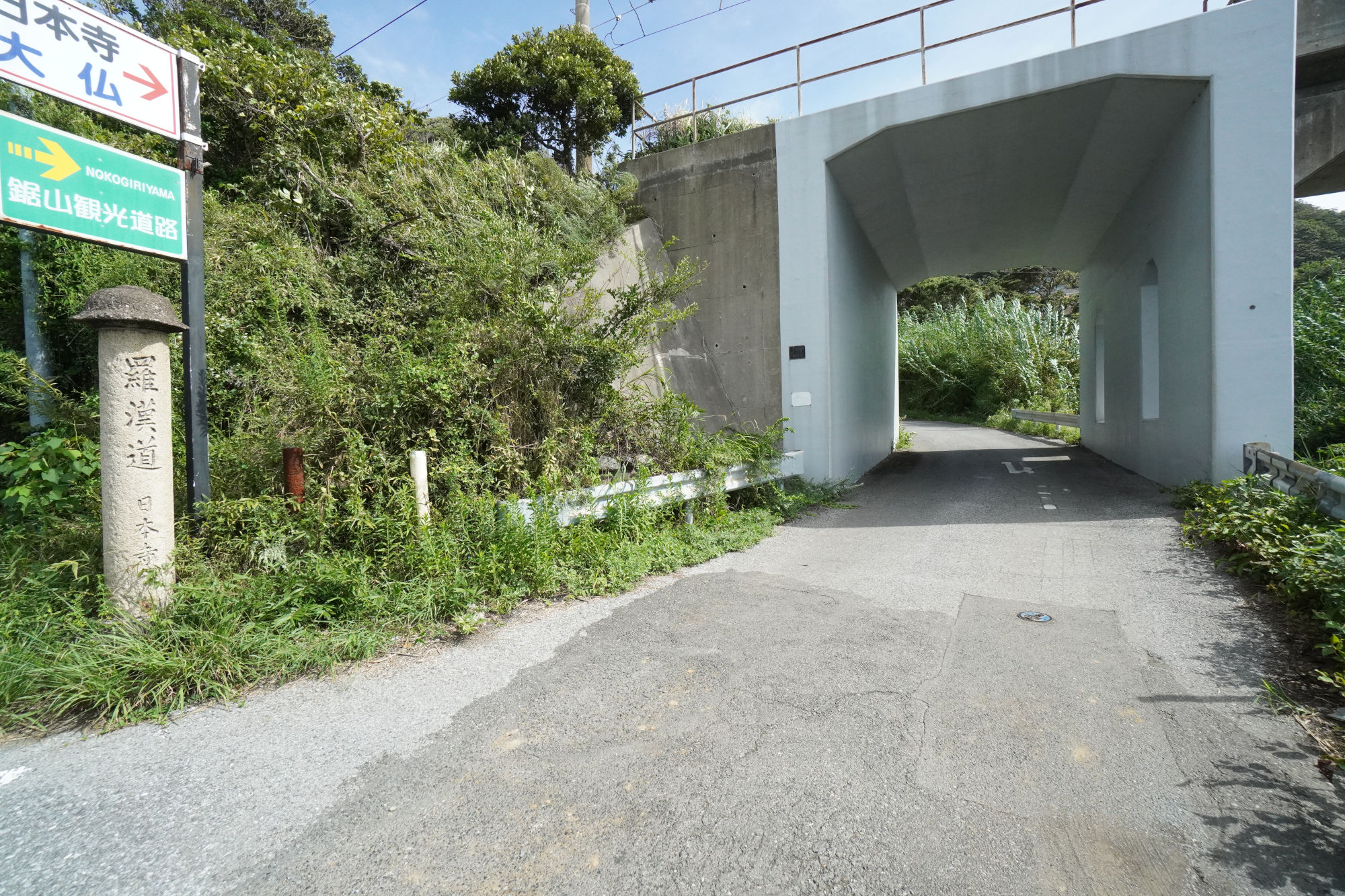 鋸山「羅漢道コース」