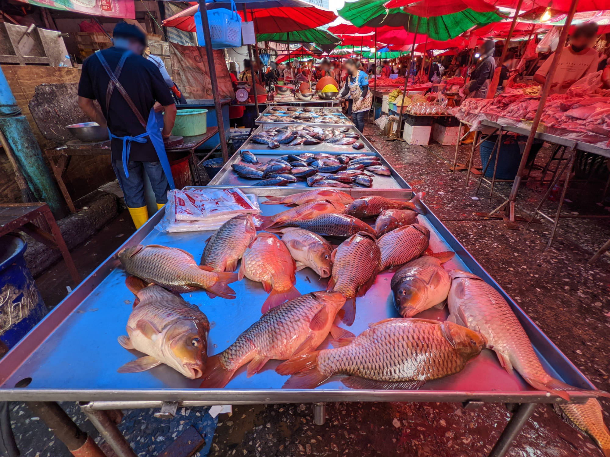 クロントーイ市場で売られている「魚」