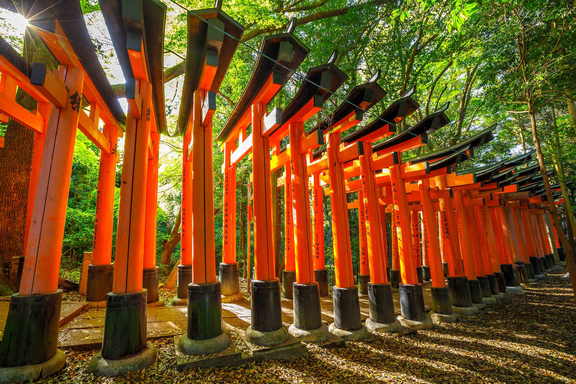 千本鳥居