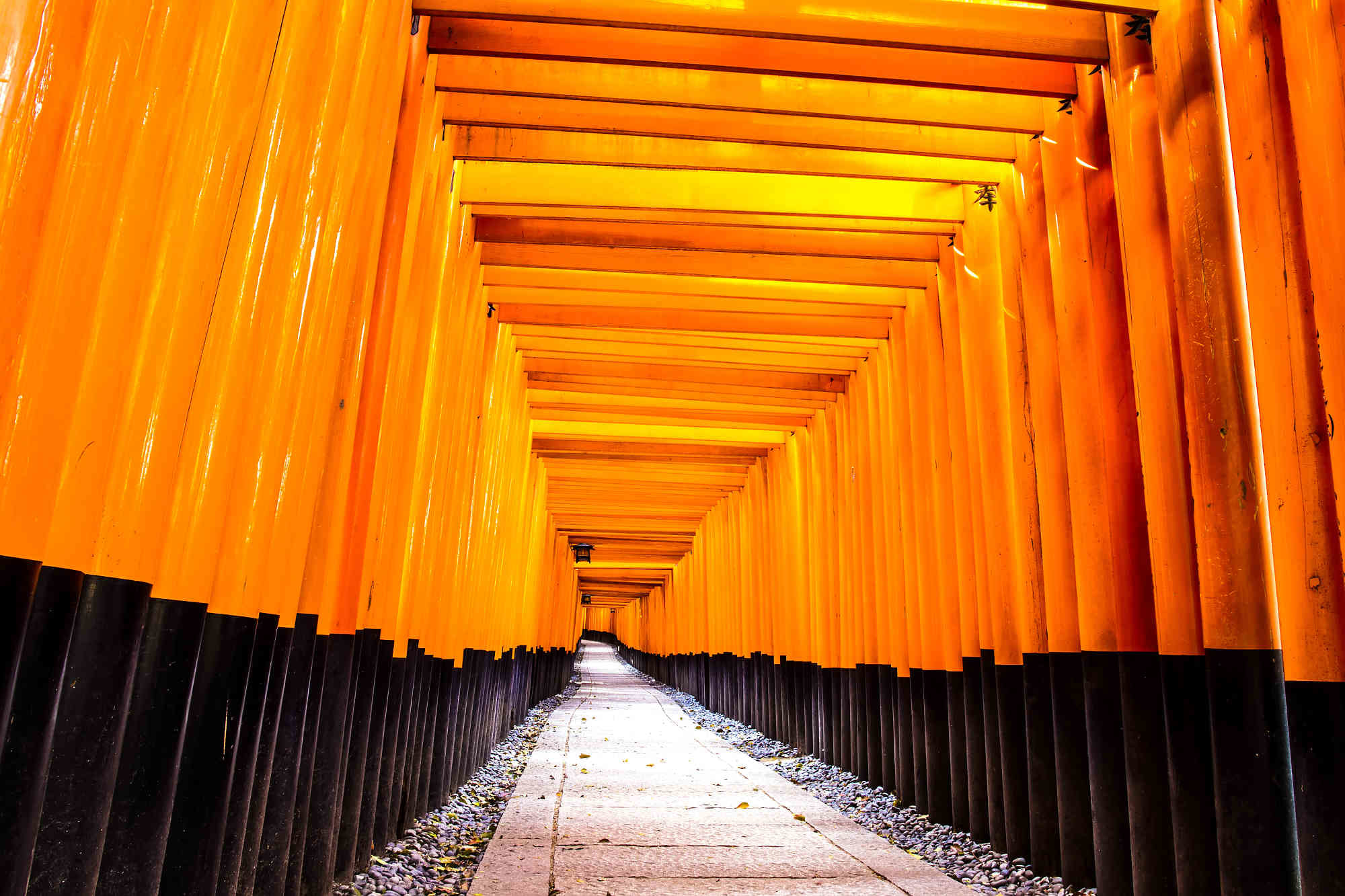 千本鳥居