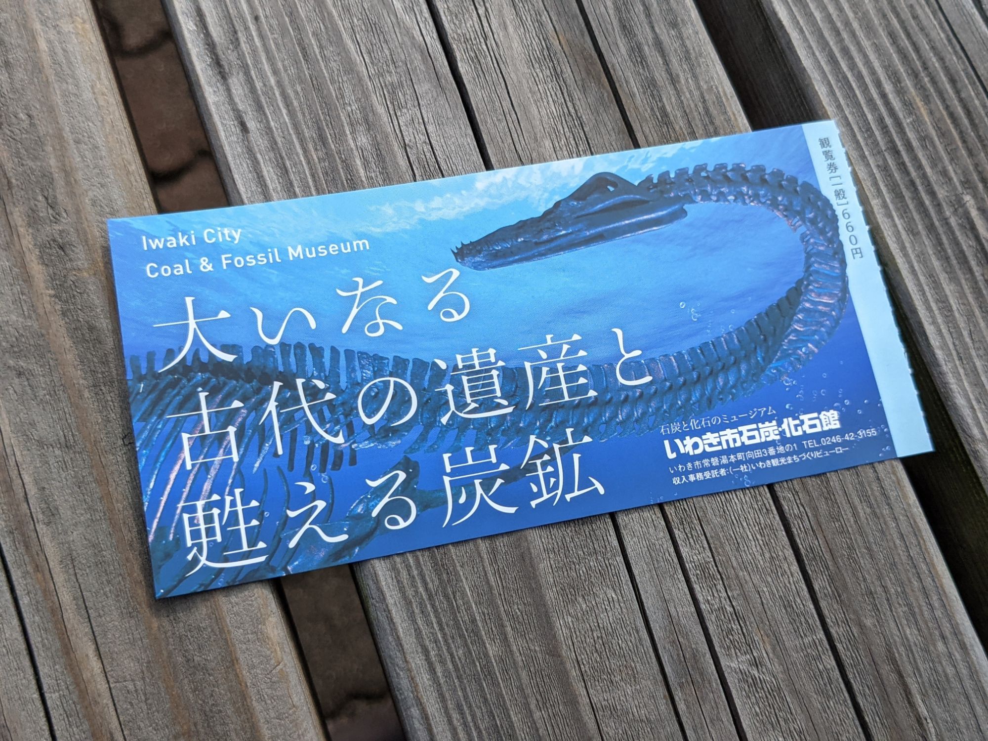 いわき市石炭・化石館「ほるる」のチケット