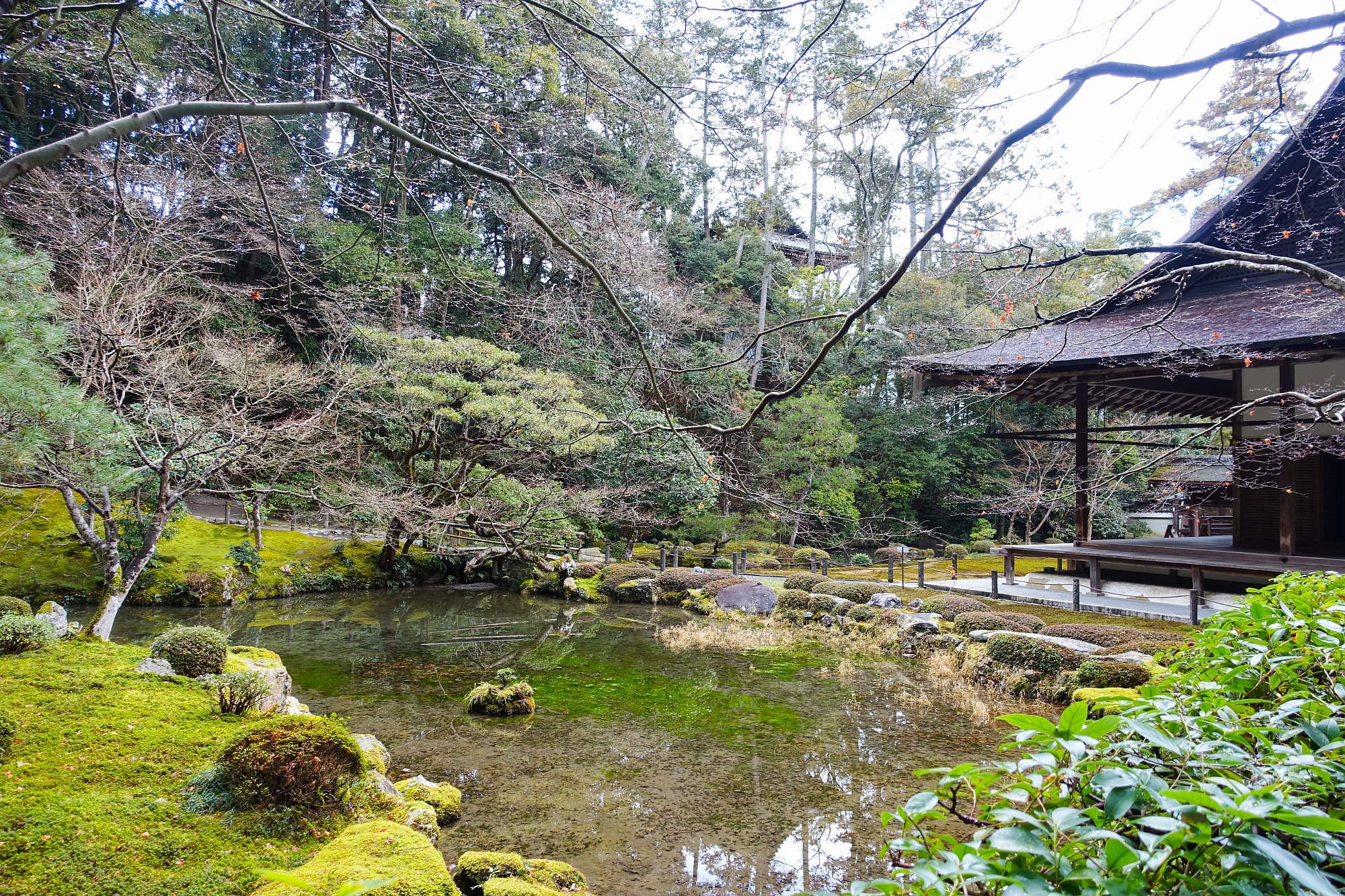 南禅寺の南禅院