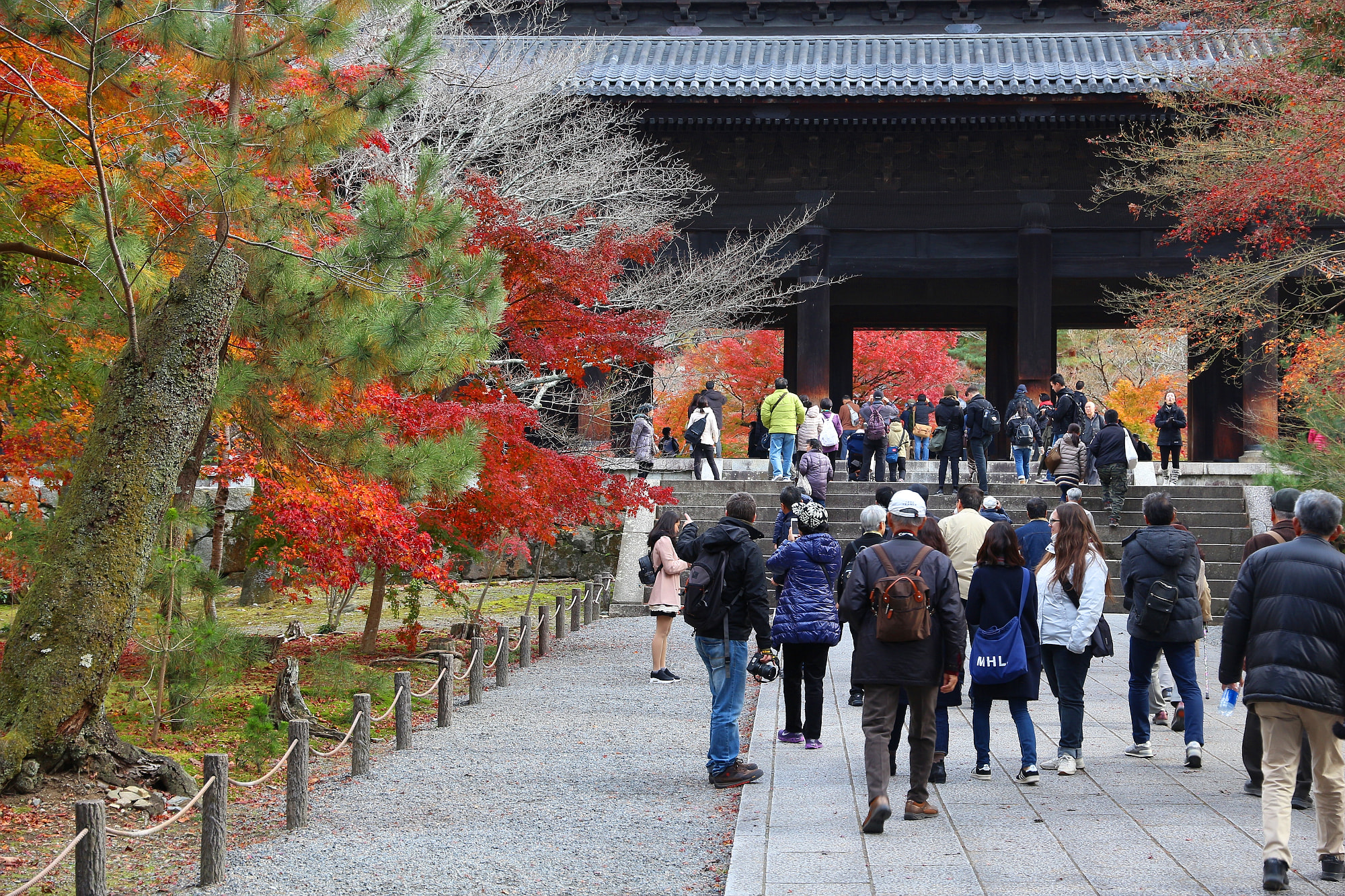 南禅寺の三門