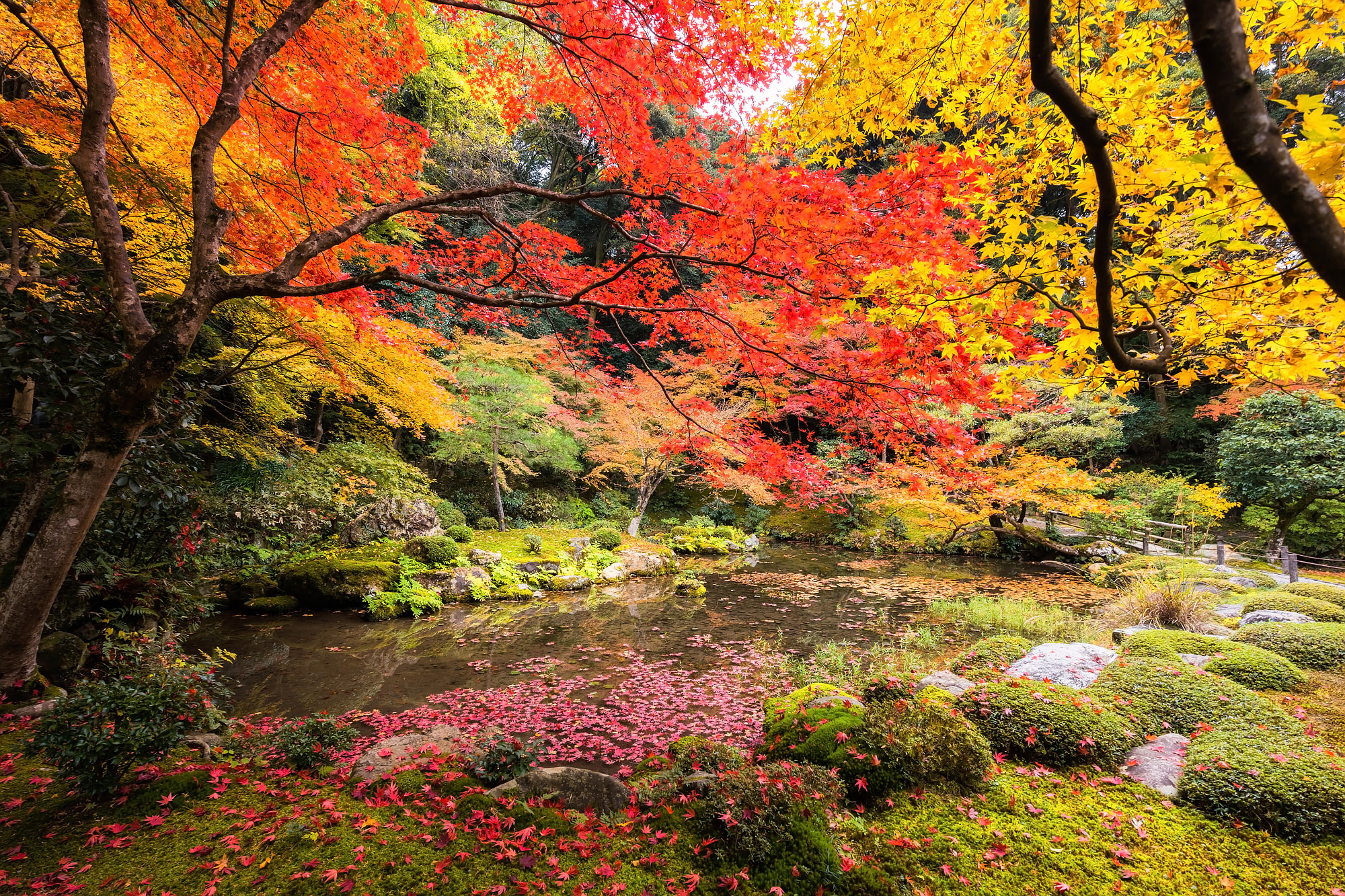 南禅寺の紅葉