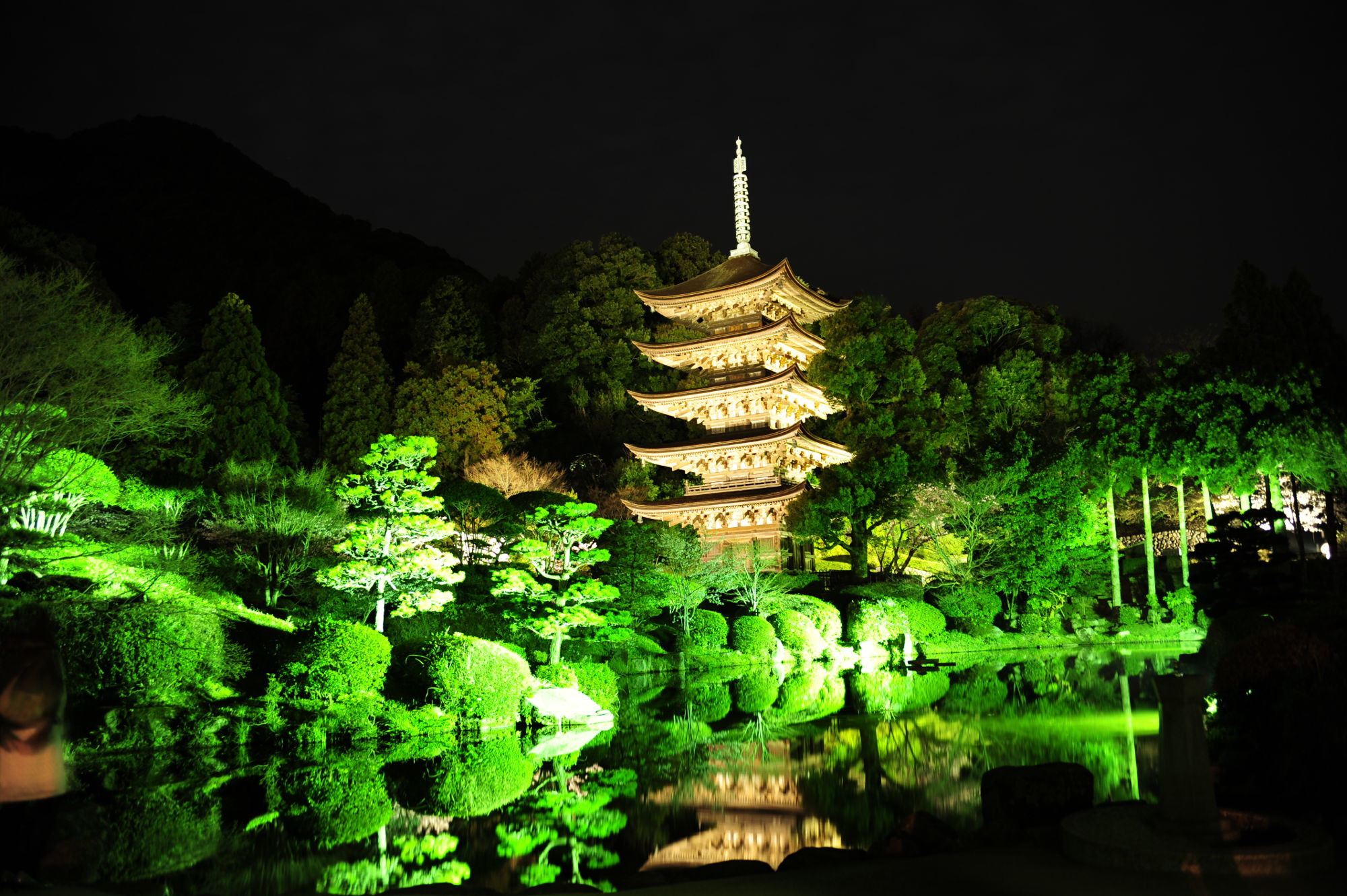 ライトアップされた瑠璃光寺の五重塔